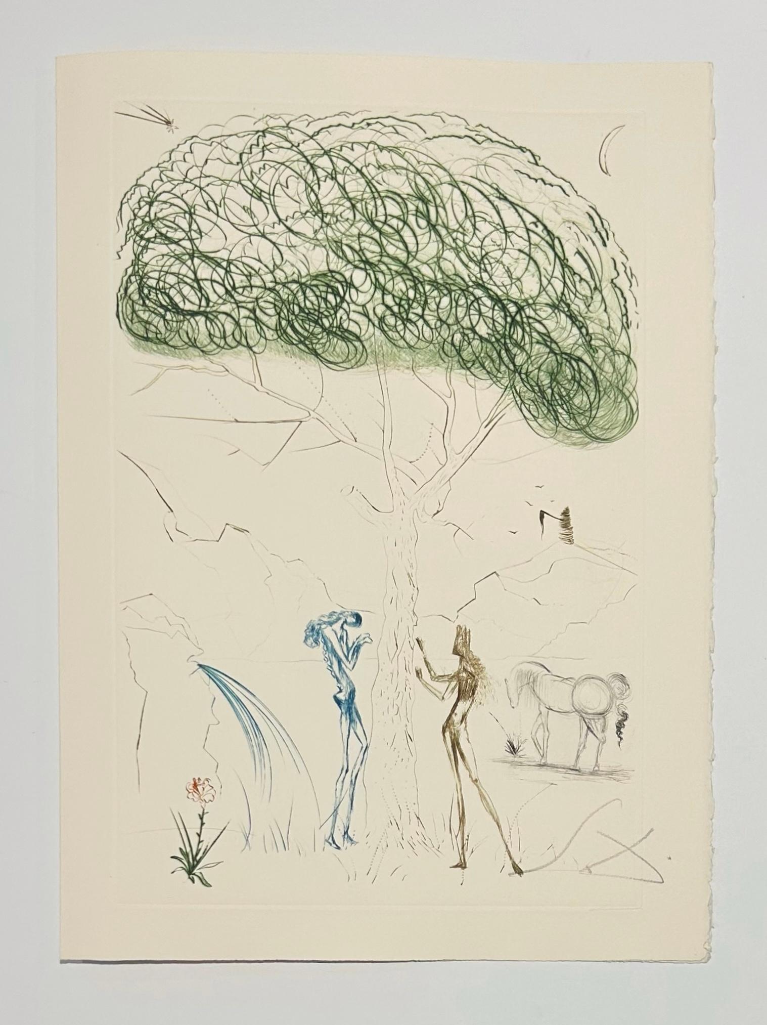Under the Parasol Pine, from Tristan and Iseult (Surrealismus), Print, von Salvador Dalí
