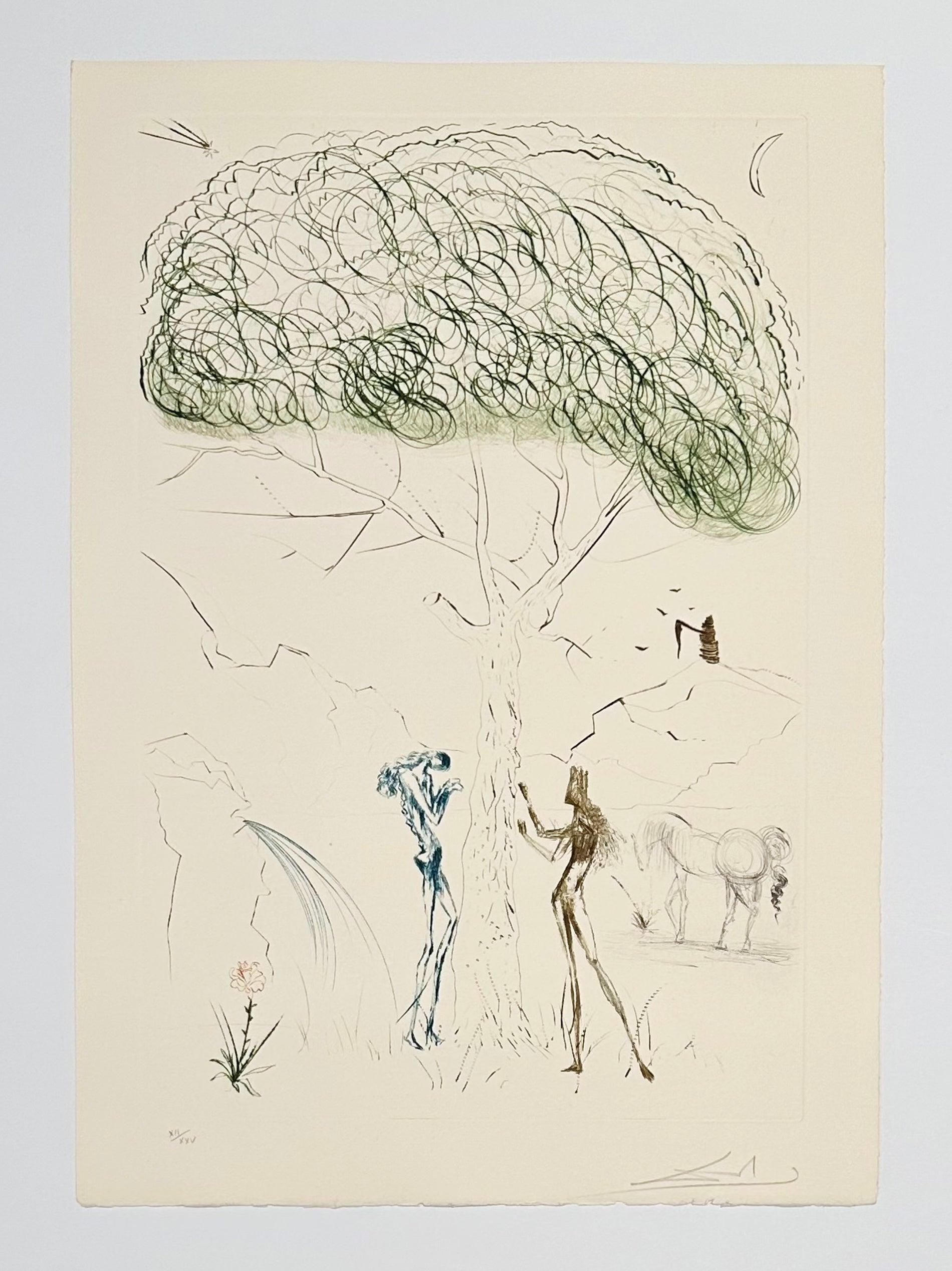 Artist: Salvador Dali
Title: Under the Parasol Pine
Portfolio: Tristan and Iseult
Medium: Color engraving
Year: 1970
Edition: XII/XXV
Frame Size: 25 1/4