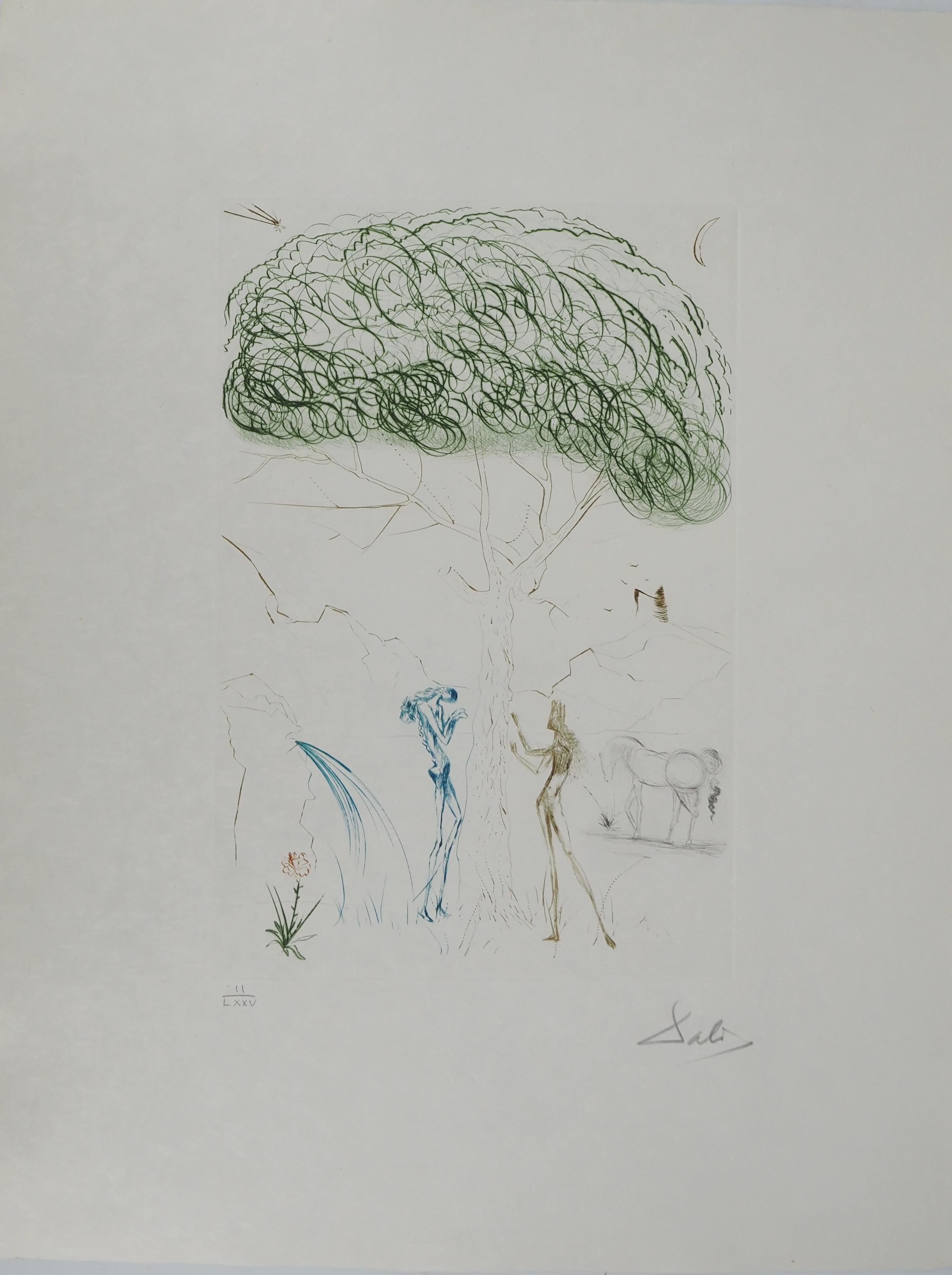 Salvador Dalí Figurative Print - Under The Parasol Pine - Original Etching Handsigned (Field #70-10 I)
