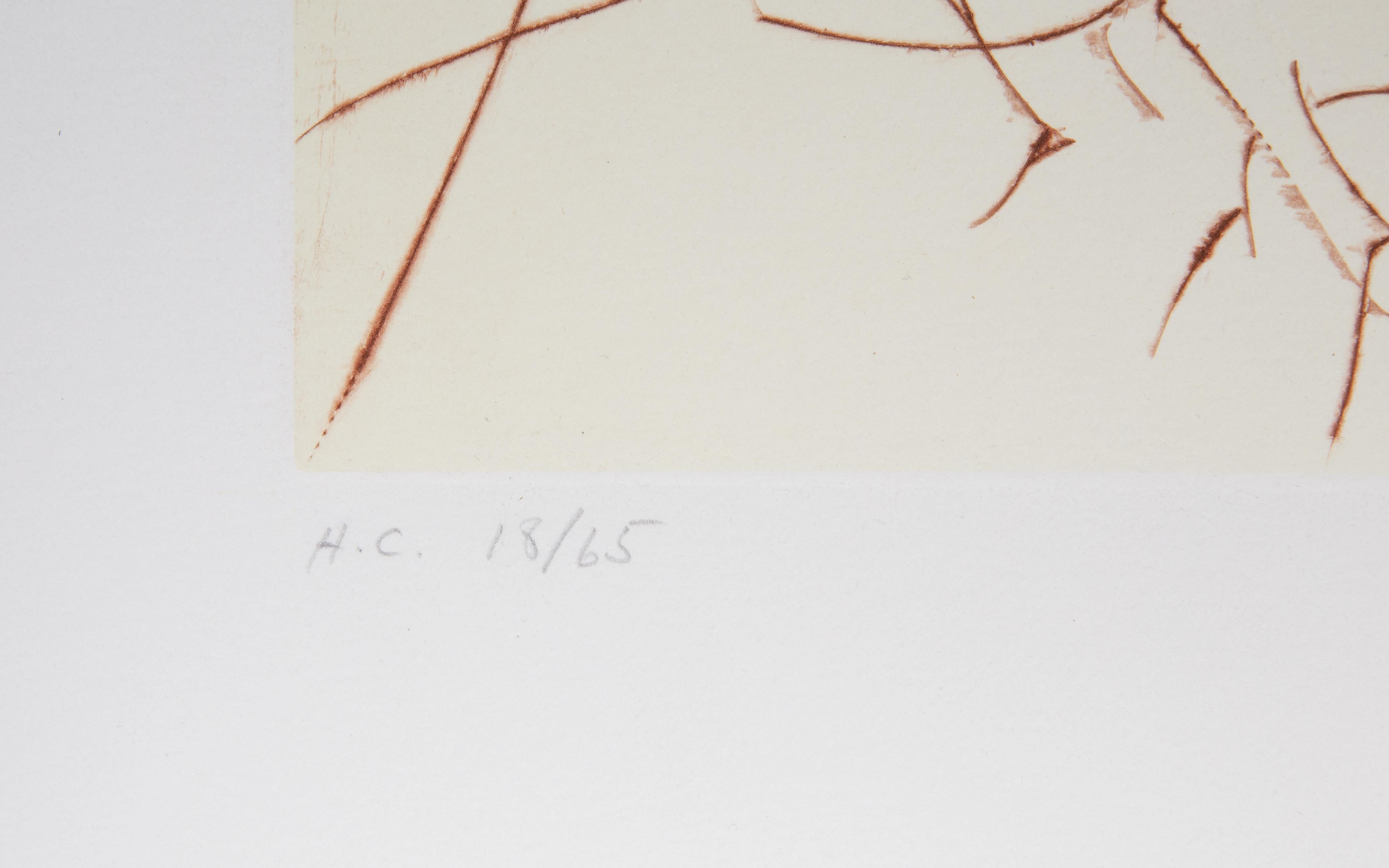 Il vigore della giovinezza dai cicli della vita, litografia e acquaforte di Salvador Dalì - Landscape Print Bianco di Salvador Dalí