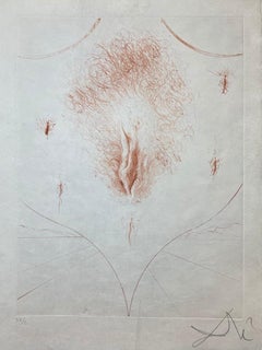 Vulva