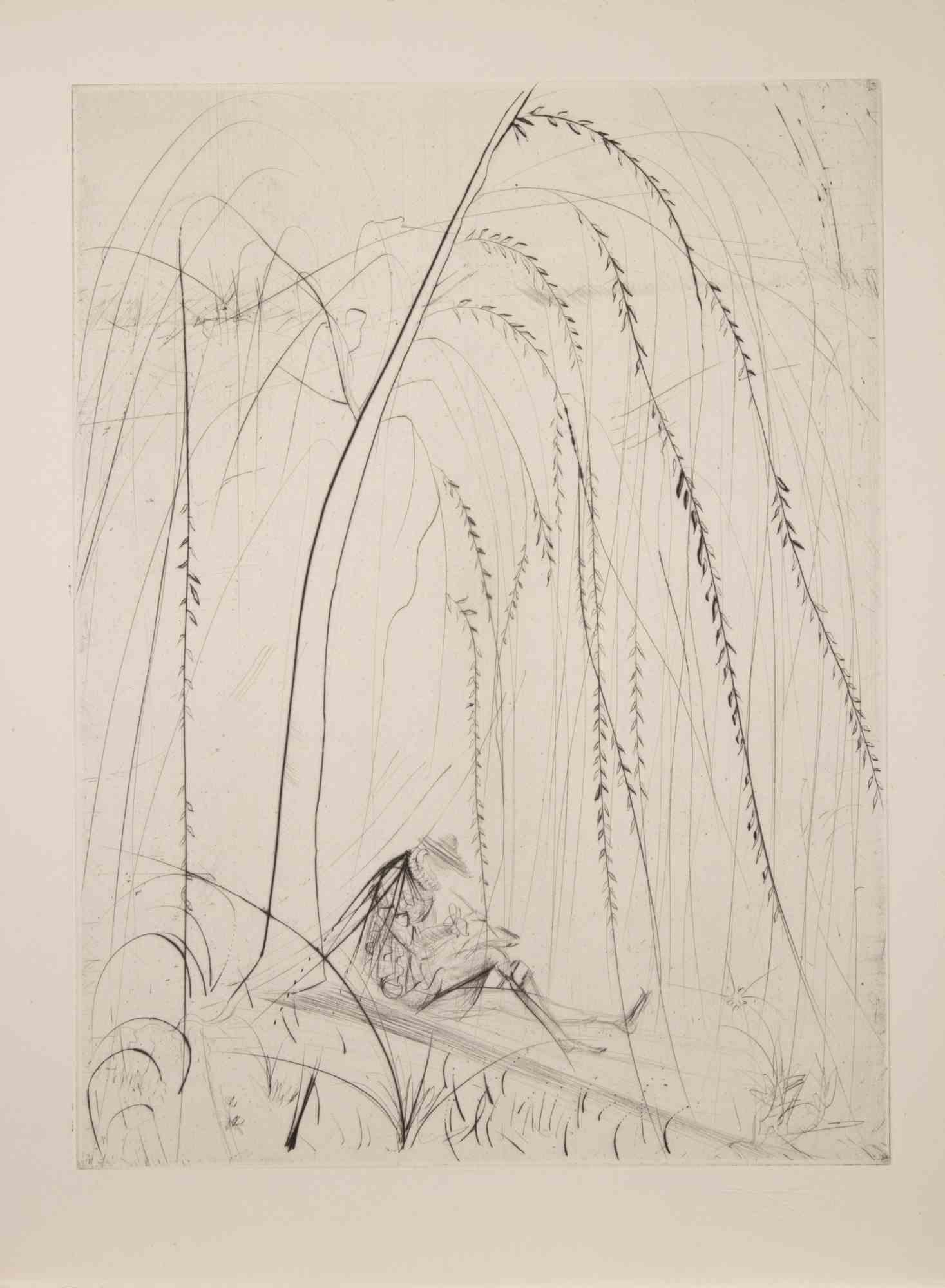 Weeping Willow Etching by Salvador Dalì, Surrealist, 1968, Unframed