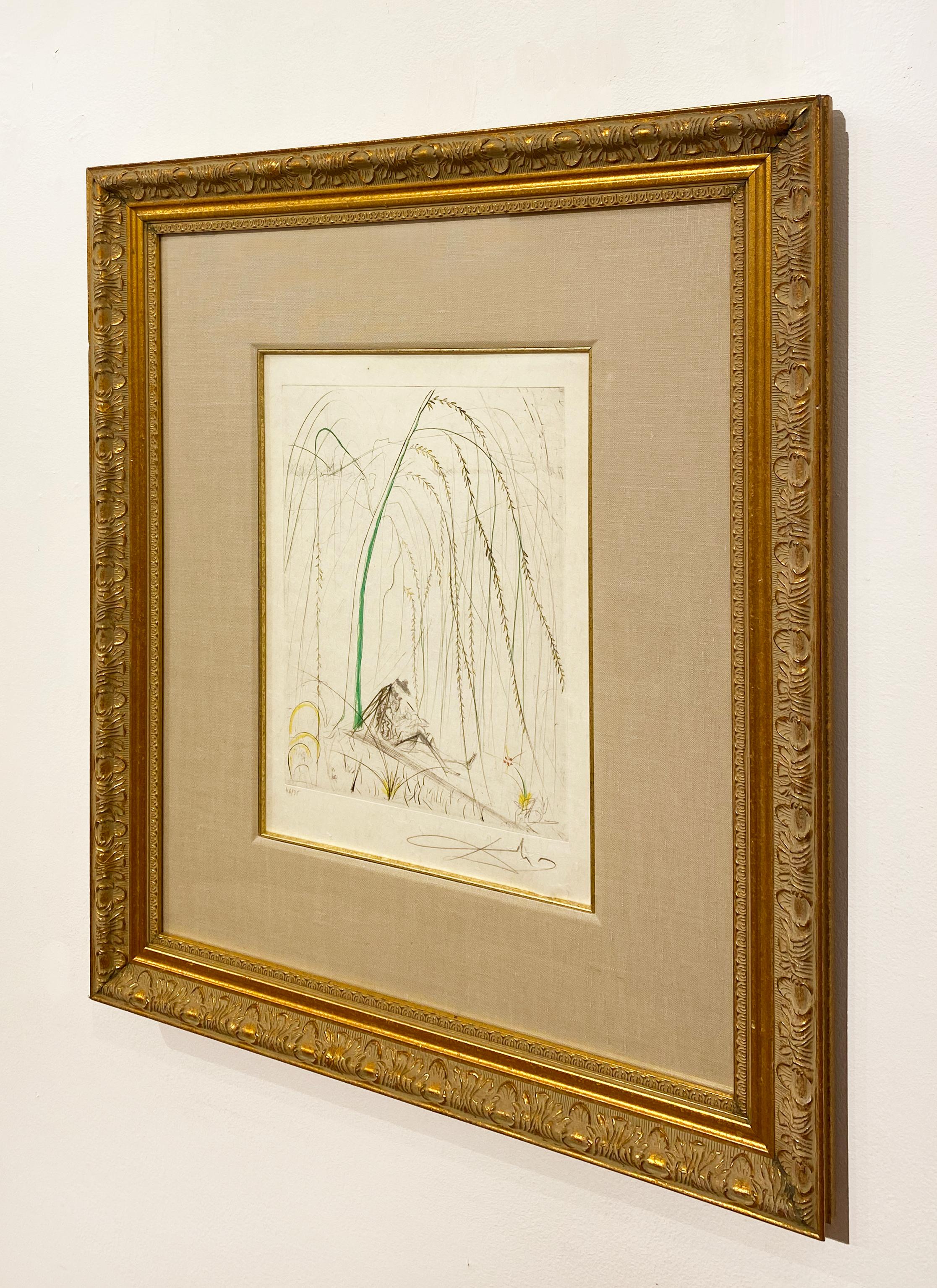 Artist:  Dali, Salvador
Title:  Weeping Willow
Series:  Les Amours de Cassandre
Date:  1968
Medium:  drypoint with added color
Framed Dimensions:  27.5
