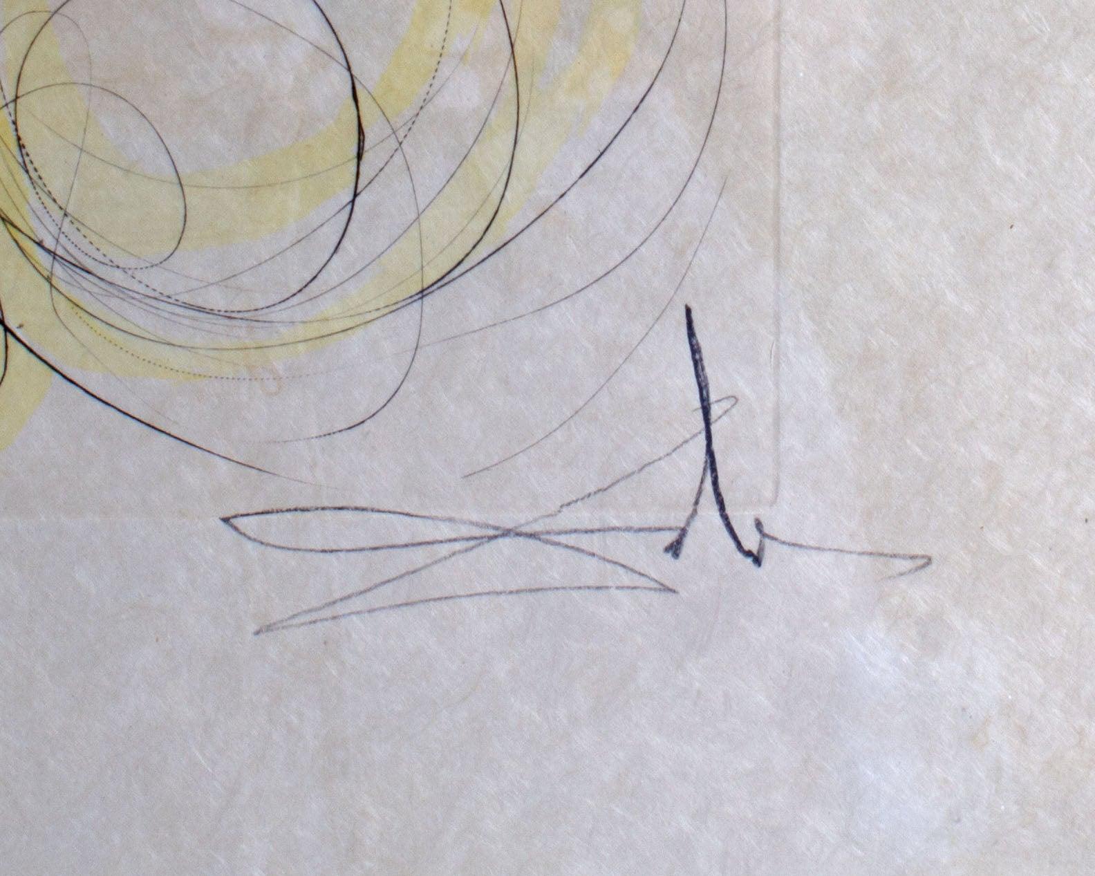 Salvador Dali Signed 1974 “The Coach and the Fly” Drypoint Etching with Pochoir In Good Condition For Sale In Indianapolis, IN