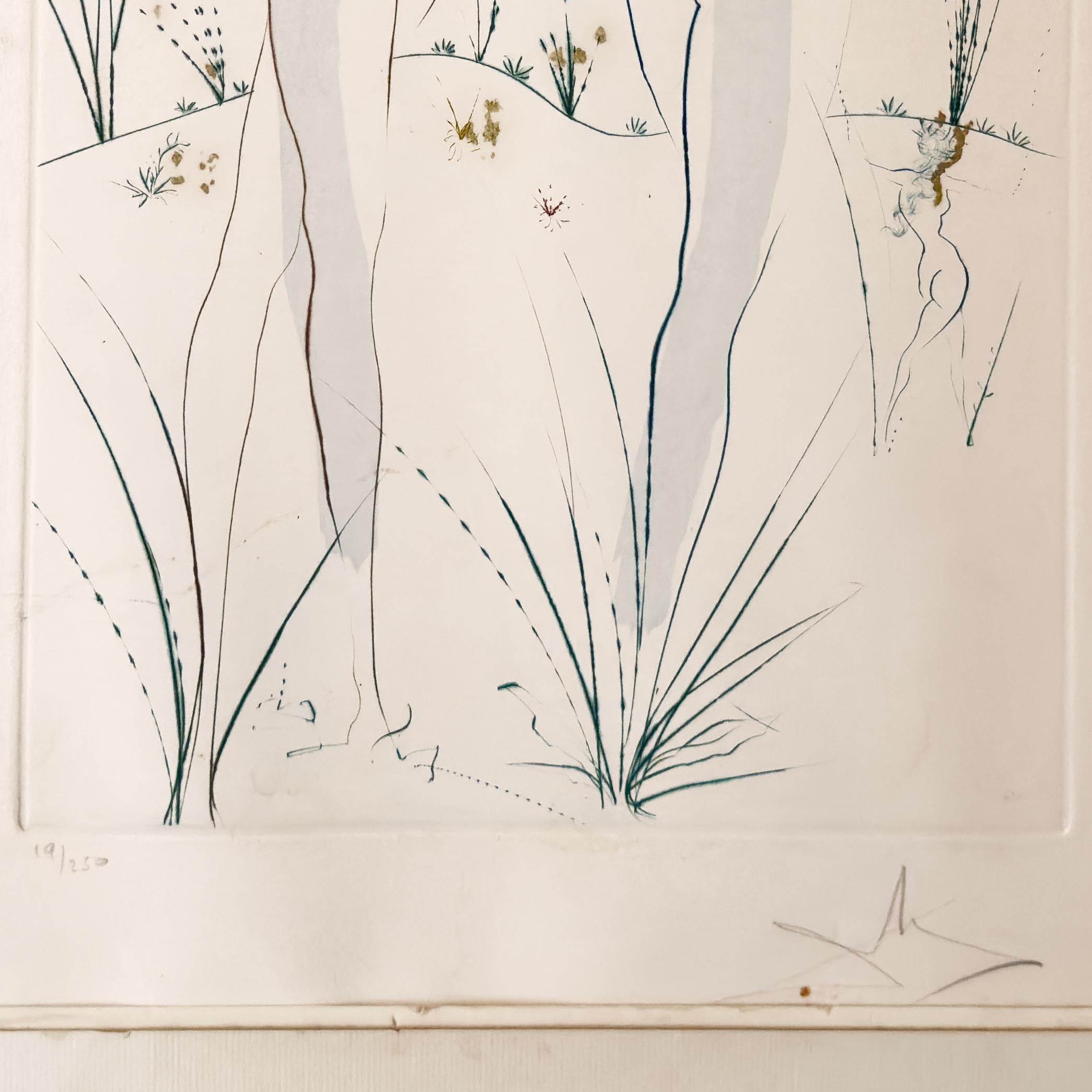 Salvador Dali Signierte Lithographie, 