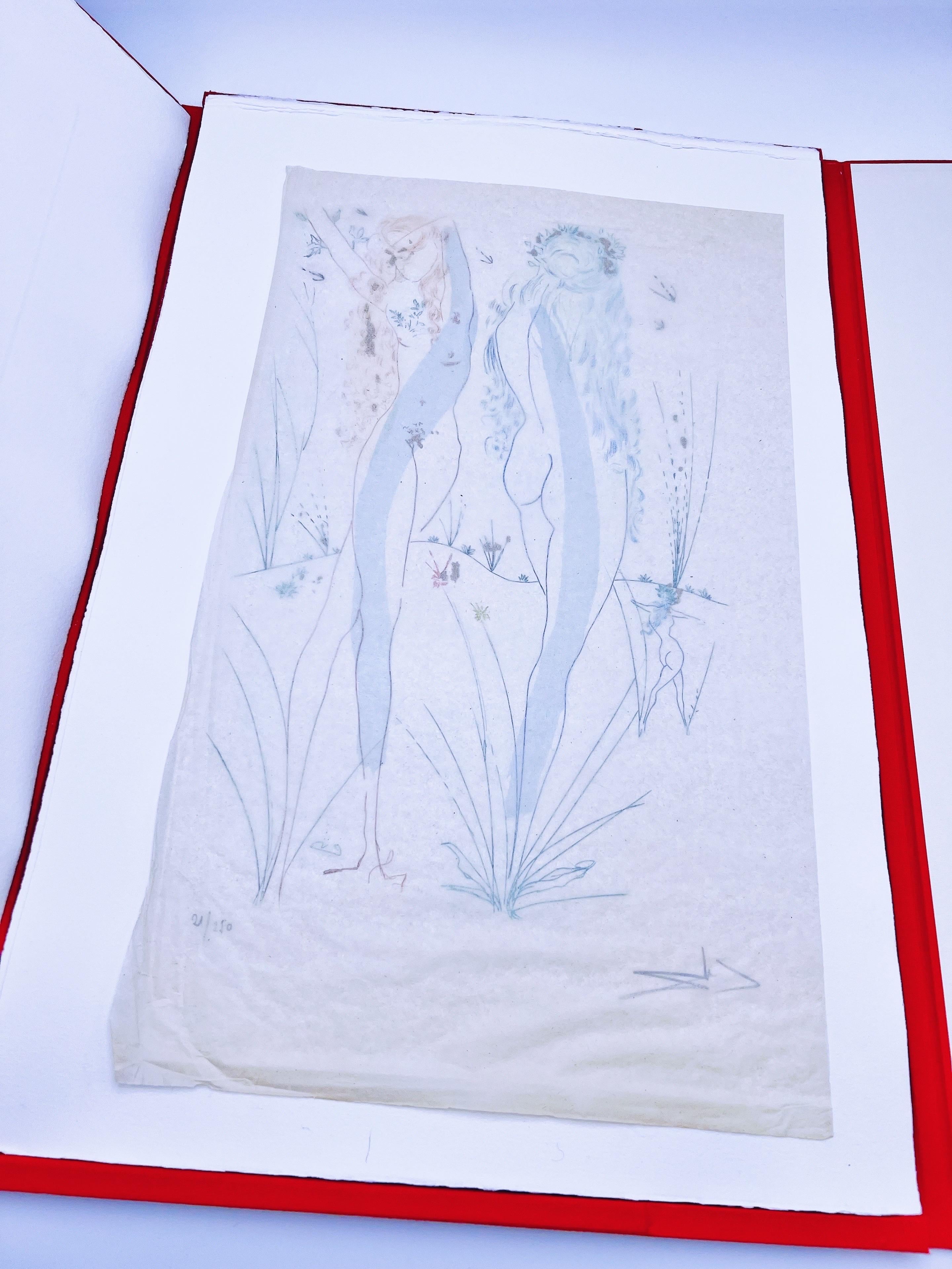 SALVADOR DALI, Song of Songs, Léon Amiel 1970, Original Signed Etchings For Sale 4