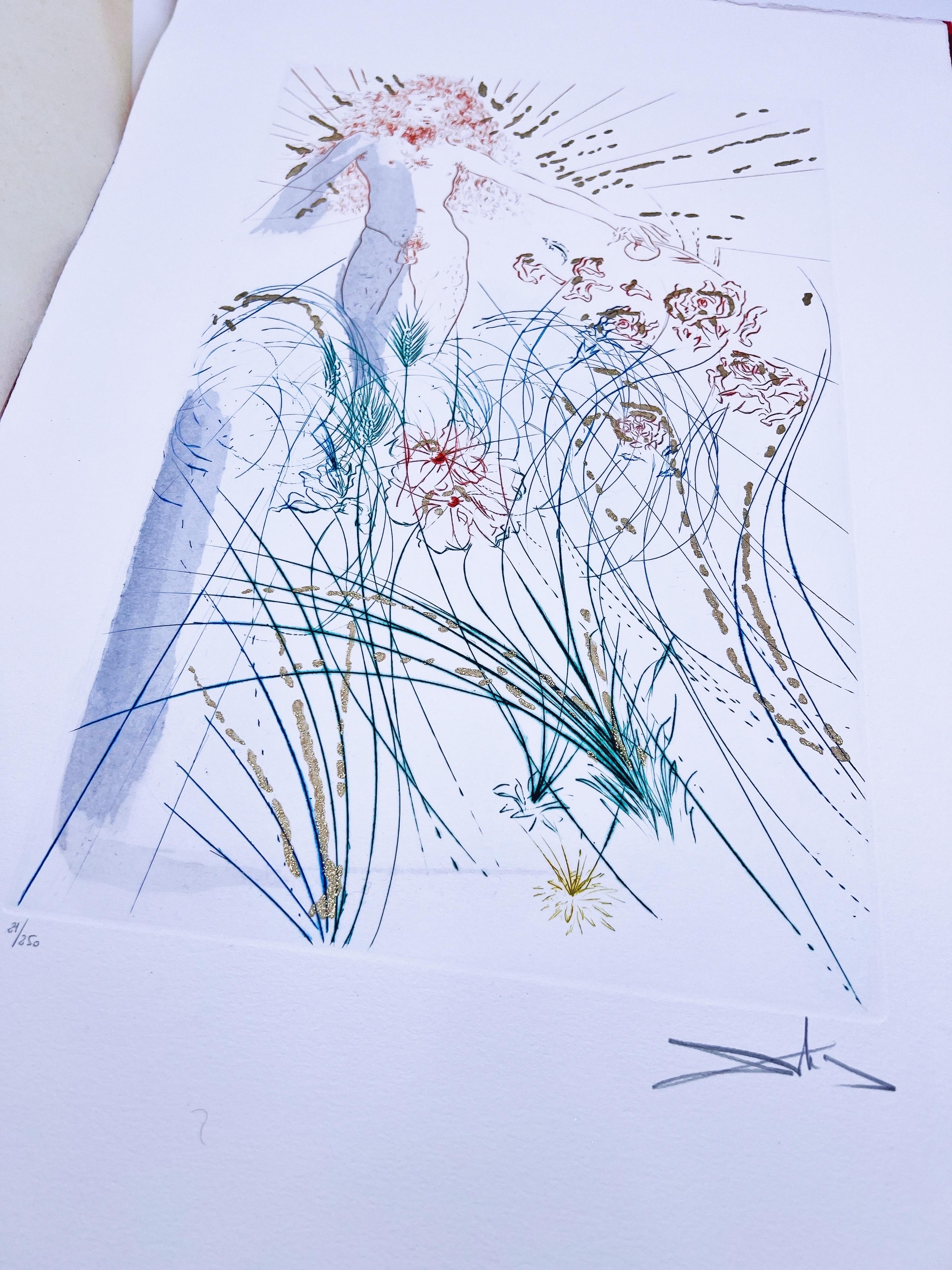 SALVADOR DALI, Song of Songs, Léon Amiel 1970, Original Signed Etchings For Sale 12