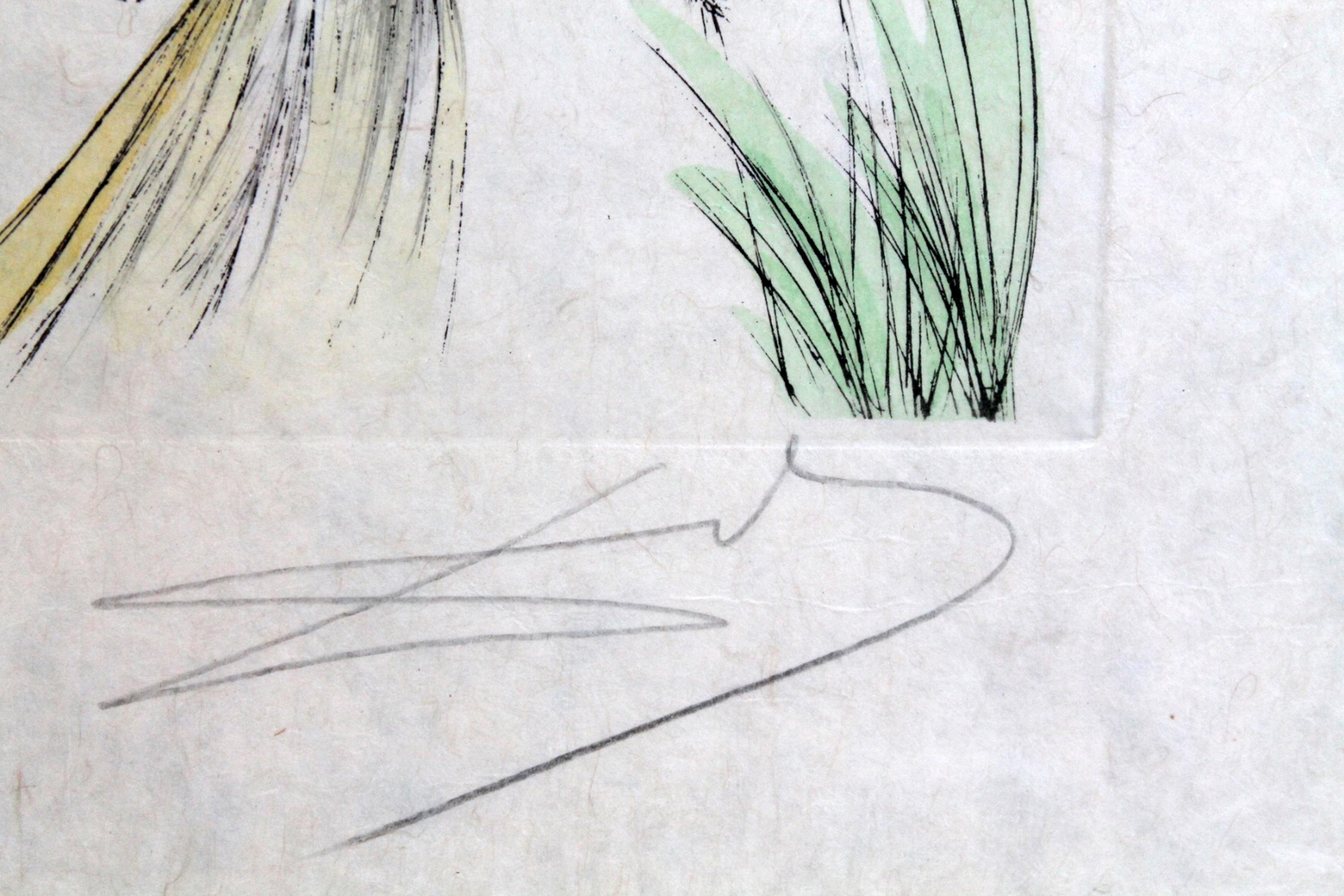 Salvador Dali, „ „Der Berg““, Radierung mit Kaltnadelradierung und Bleistift in Farben, Mint im Angebot 2