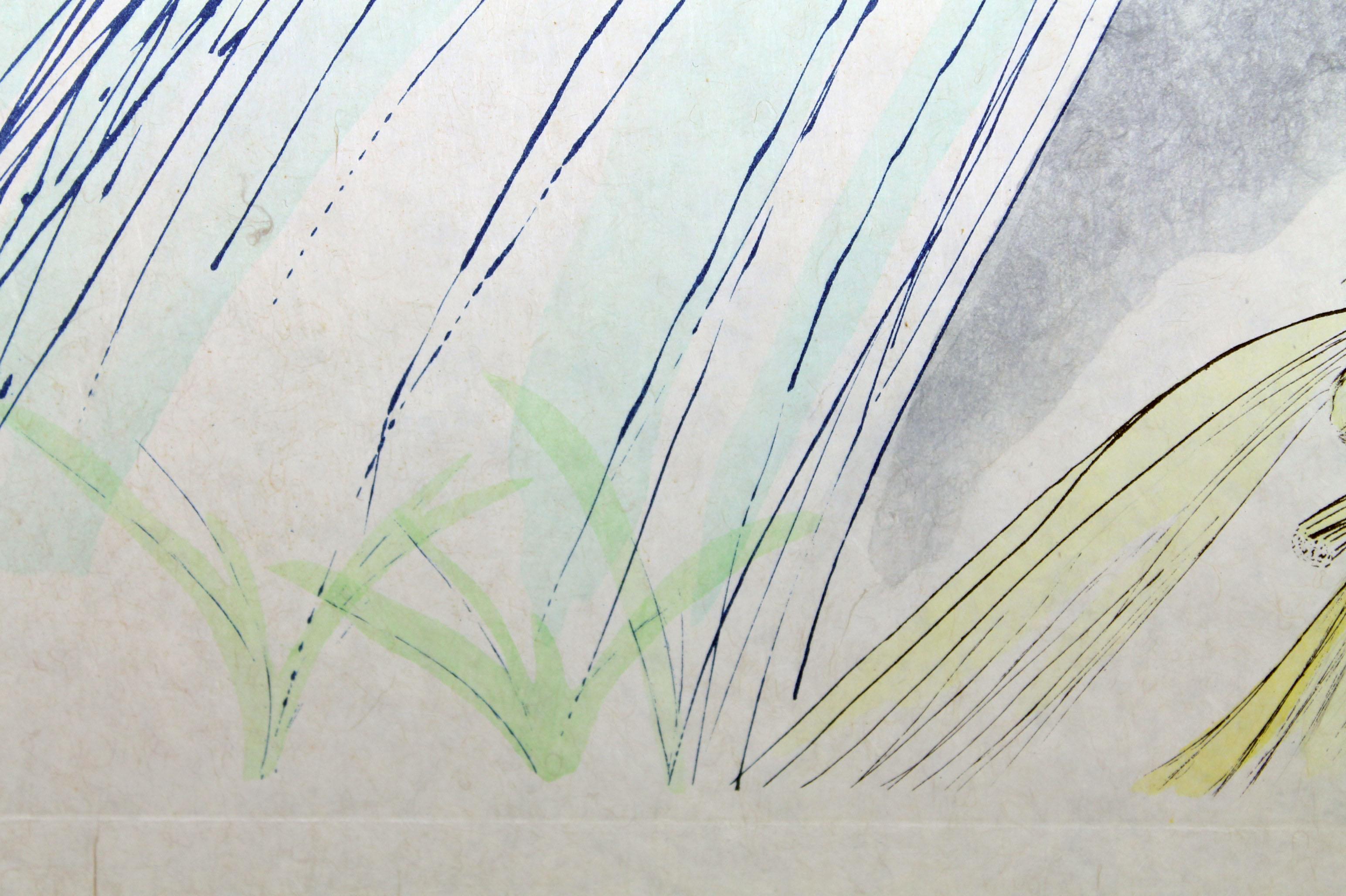 Salvador Dali, „ „Der Berg““, Radierung mit Kaltnadelradierung und Bleistift in Farben, Mint im Zustand „Hervorragend“ im Angebot in Firenze, FI