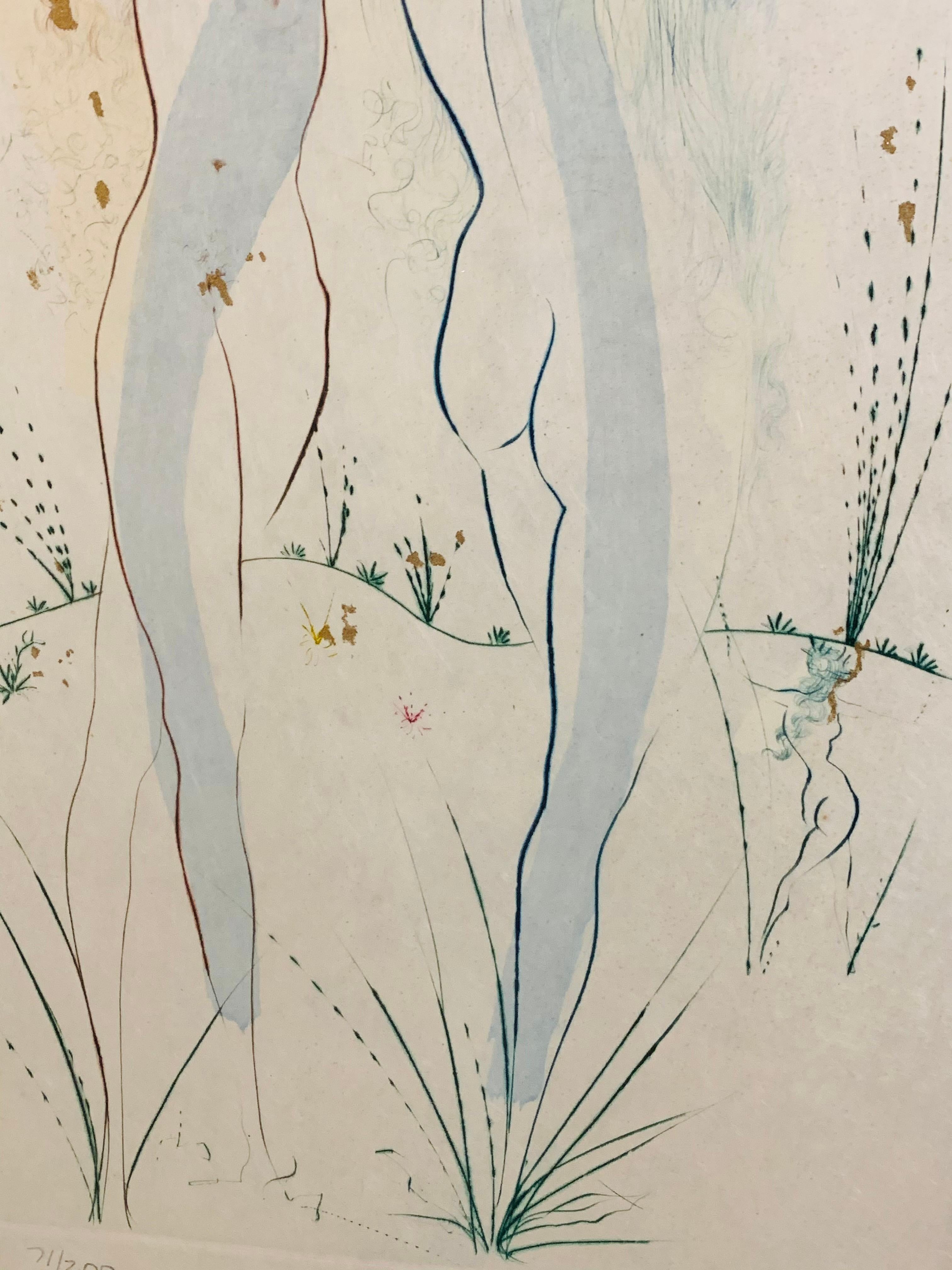 20th Century Salvador Dali 