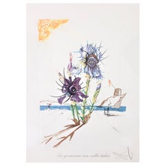 Salvadore Dali Signed Iris Germanica Cum Ocellis Italicis Framed Lithograph