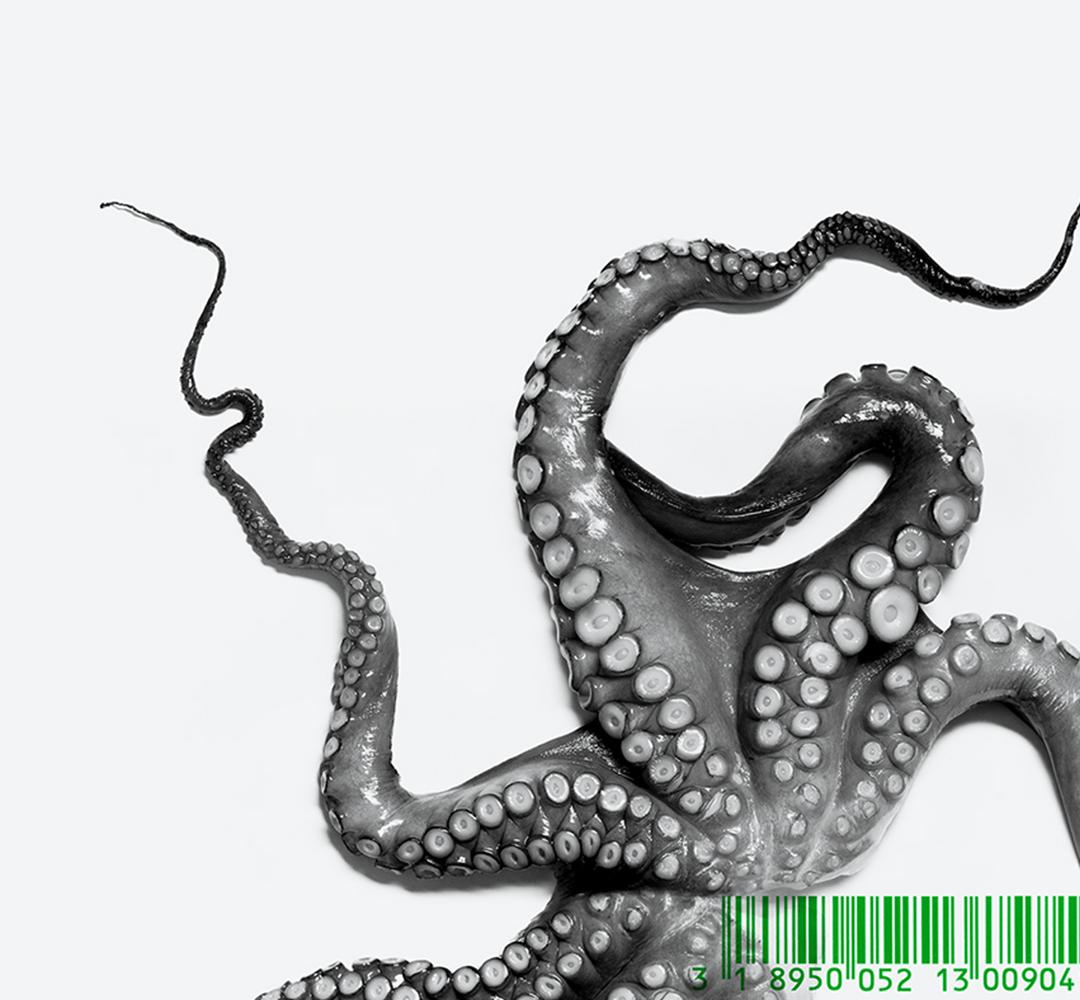 0483 et 0529, Diptyque De la série ONE en vente 2