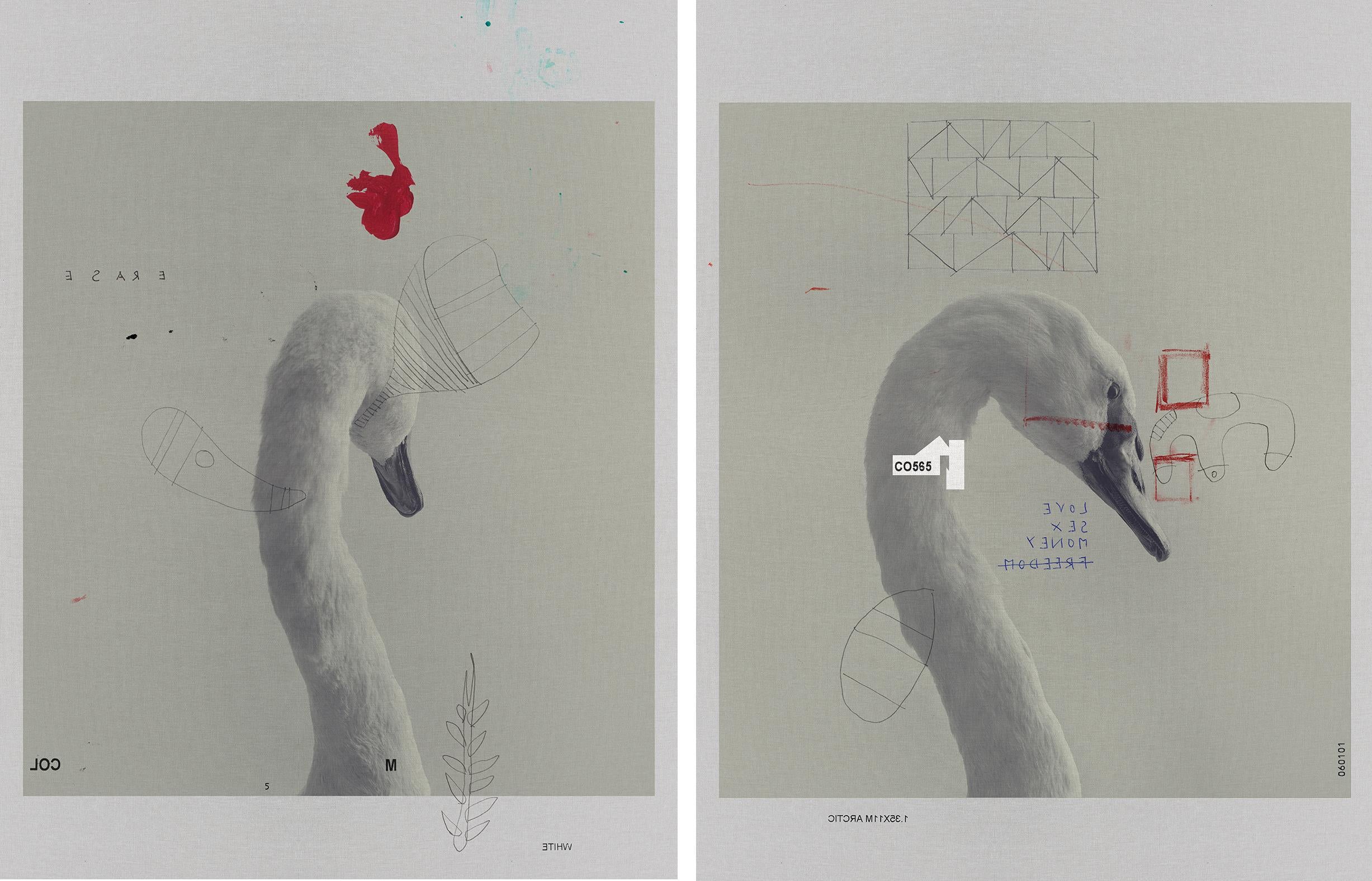 0946 and 0971, Diptych. From The ONE Series