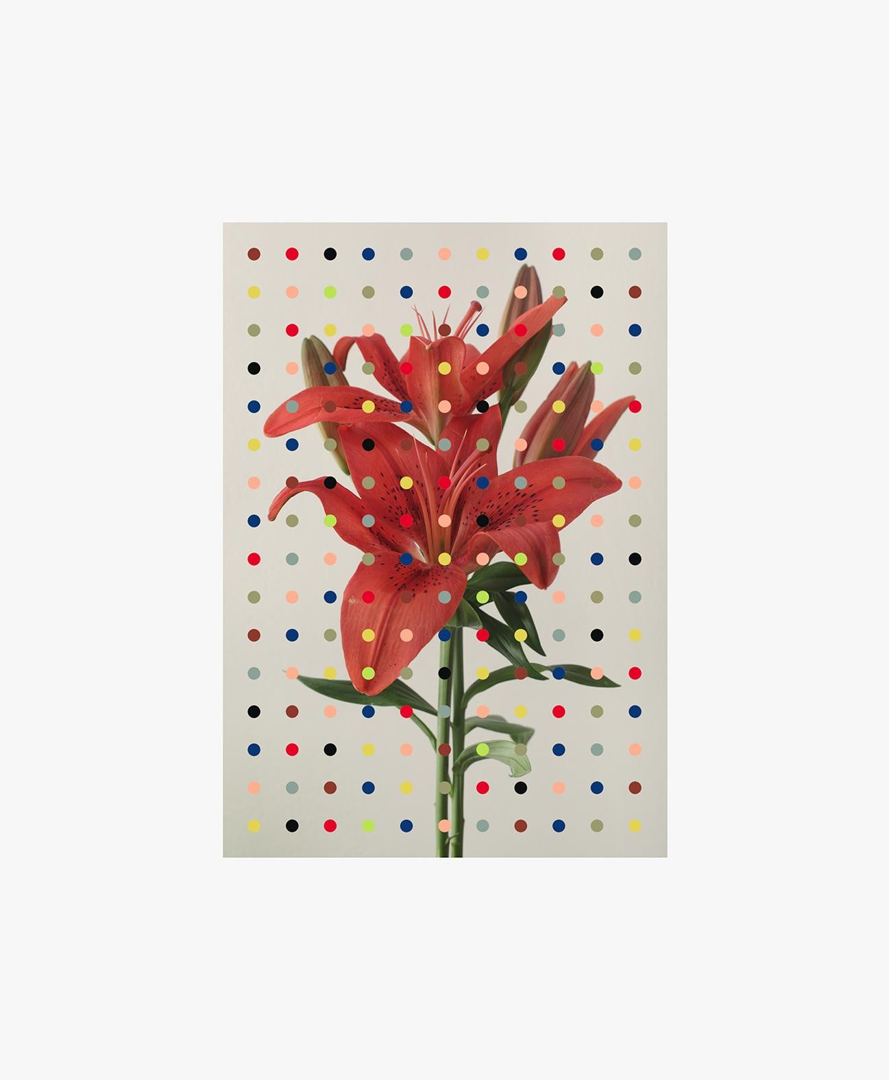 1060 and 6002, Diptych. From The ONE Series - Gray Still-Life Photograph by Salvatore Arnone