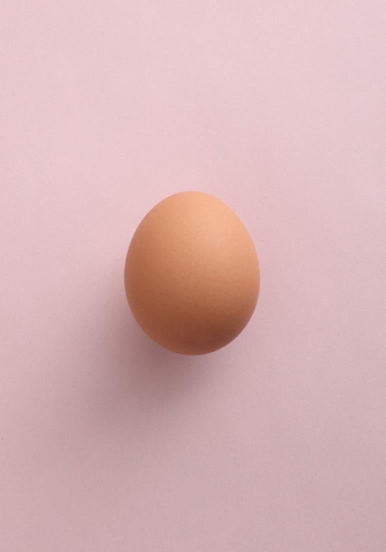 Egg and Untitled, Diptych. Color Photography For Sale 1