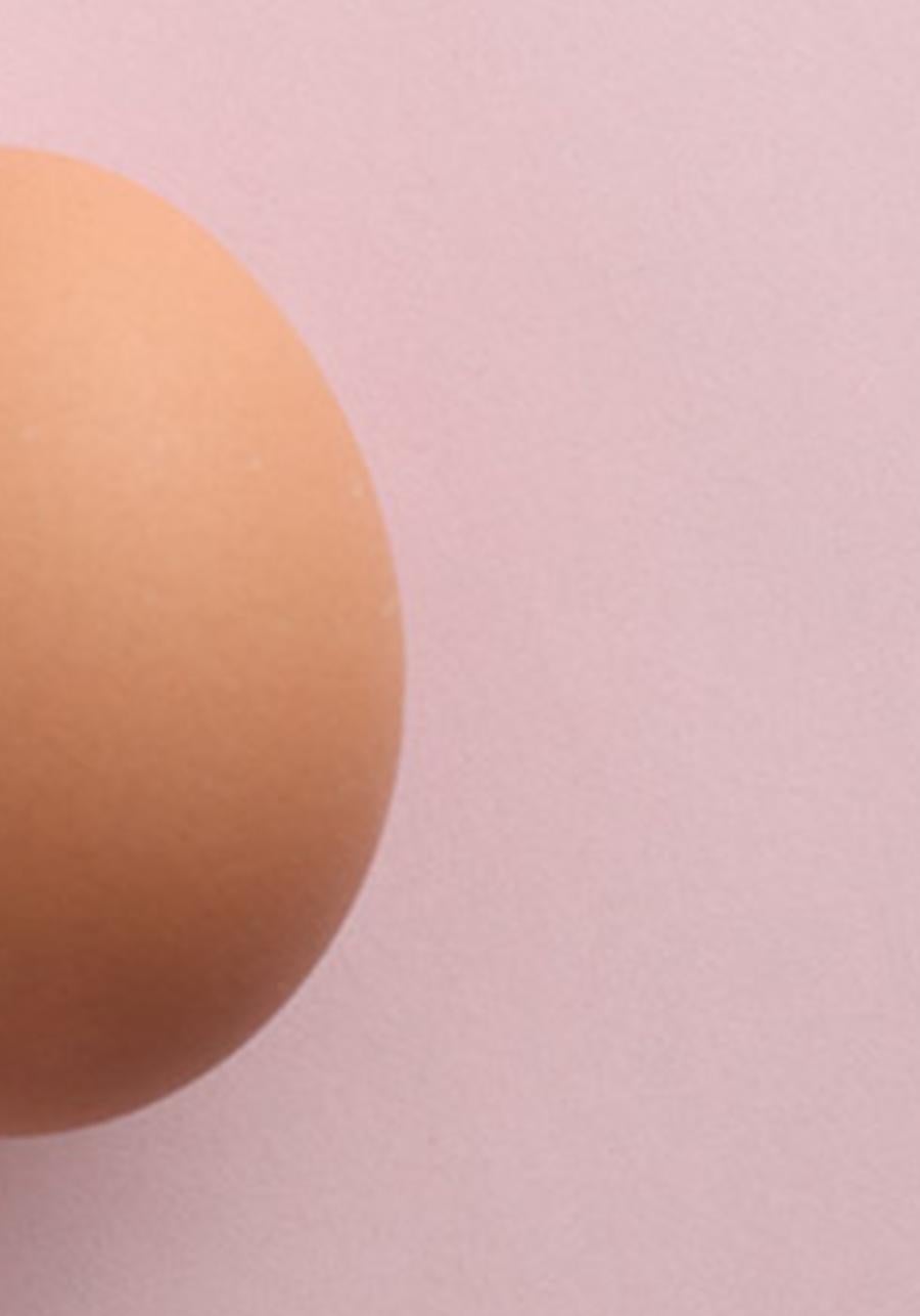 Egg and Untitled, Diptych. Color Photography For Sale 2