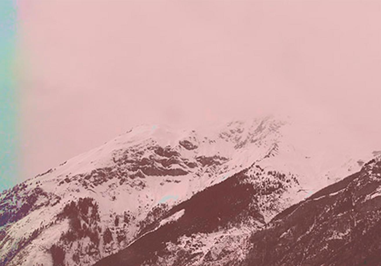 Egg and Untitled, Diptych. Color Photography For Sale 4