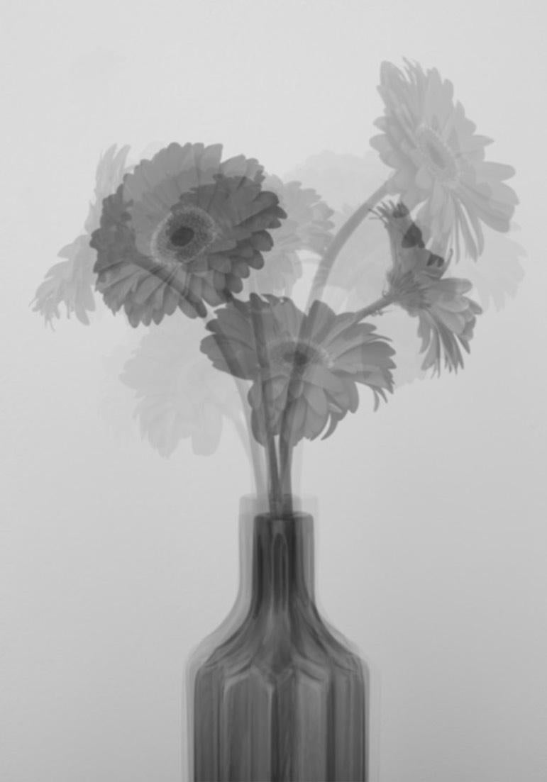 Set of 2 Photographys. From The Lullaby Series - Gray Black and White Photograph by Salvatore Arnone