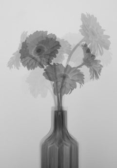 Ensemble de 2 photographies. De la série Lullaby