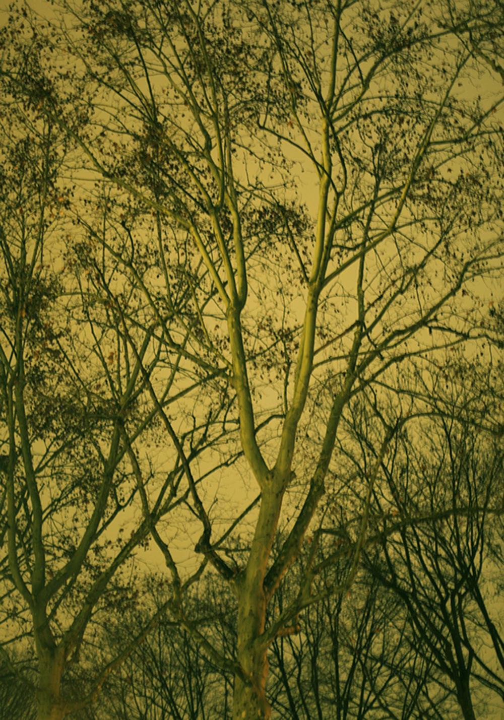 Untitled 20 & 21, Diptych Paranoia series. Landscape. Color Photograph  For Sale 1
