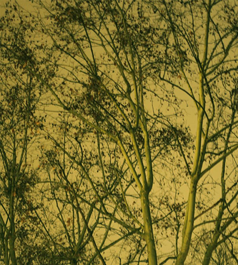Untitled 20 & 21, Diptych Paranoia series. Landscape. Color Photograph  For Sale 2