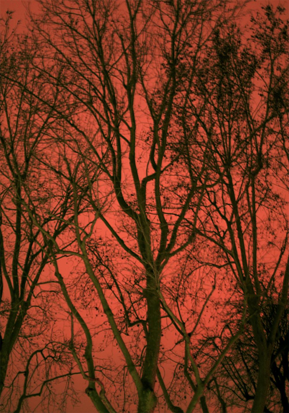 Untitled 20 & 21, Diptych Paranoia series. Landscape. Color Photograph  For Sale 5