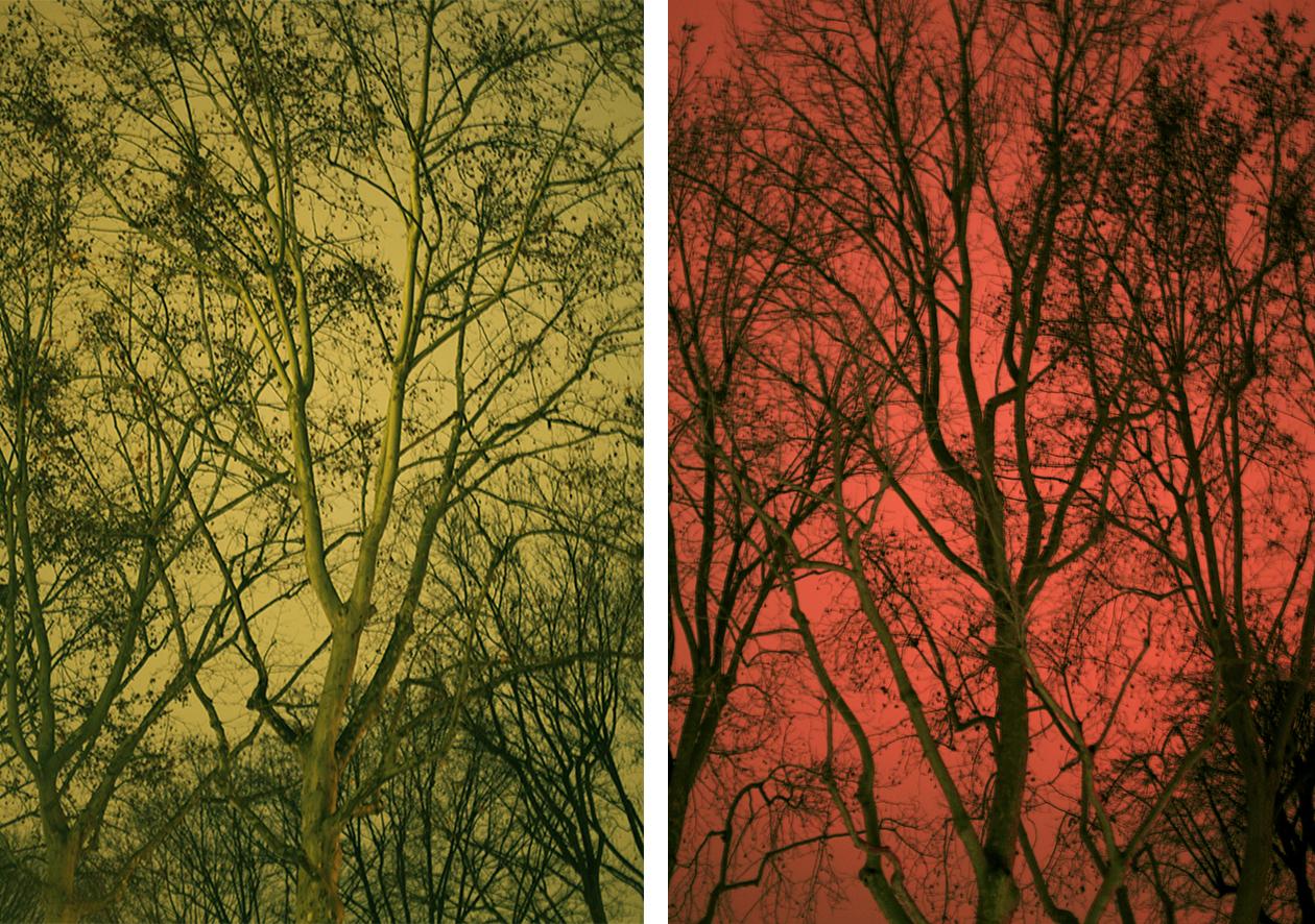 Untitled 20 & 21, 2021 by Salvatore Arnone
From Paranoia series 
Digital print on Hahnemuhle Photo Rag Ultra Smooth
Overall size: 50 in. H x 70 in. W 
Image size: 50 in. H x 35 in. W 
Edition of  3 + 1AP
Unframed

Paranoia is the first chapter of a