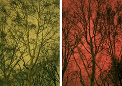 Untitled 20 & 21, Diptych Paranoia series. Landscape. Color Photograph 