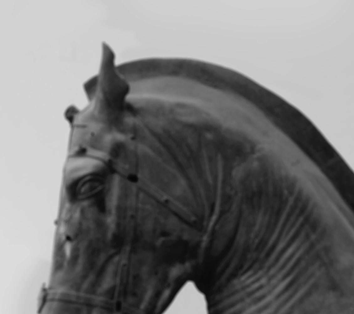 Sans titre, Série Balance. Sculpture de tête de cheval. Photographie numérique à collage de couleur - Gris Figurative Photograph par Salvatore Arnone