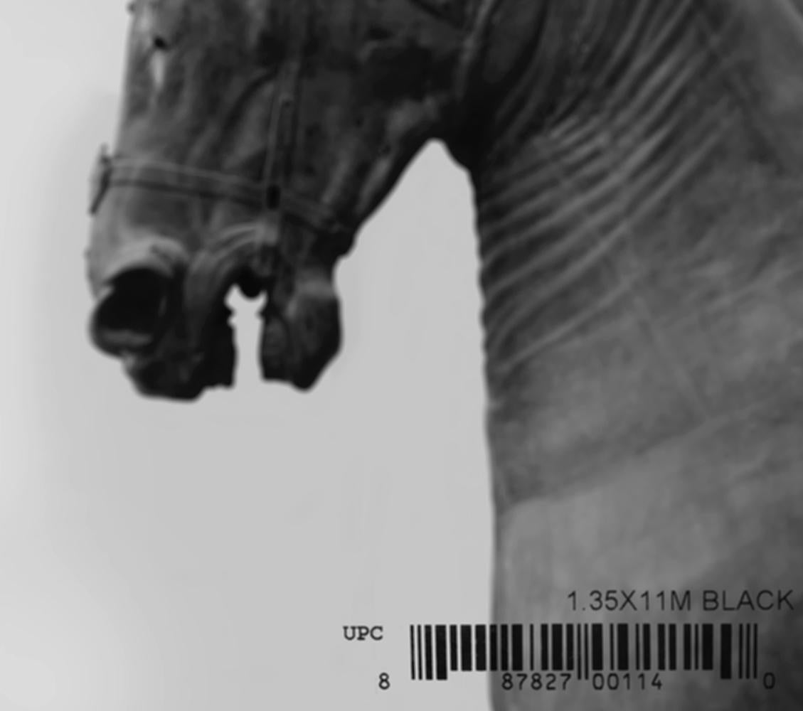 Sans titre, Série Balance. Sculpture de tête de cheval. Photographie numérique à collage de couleur en vente 1