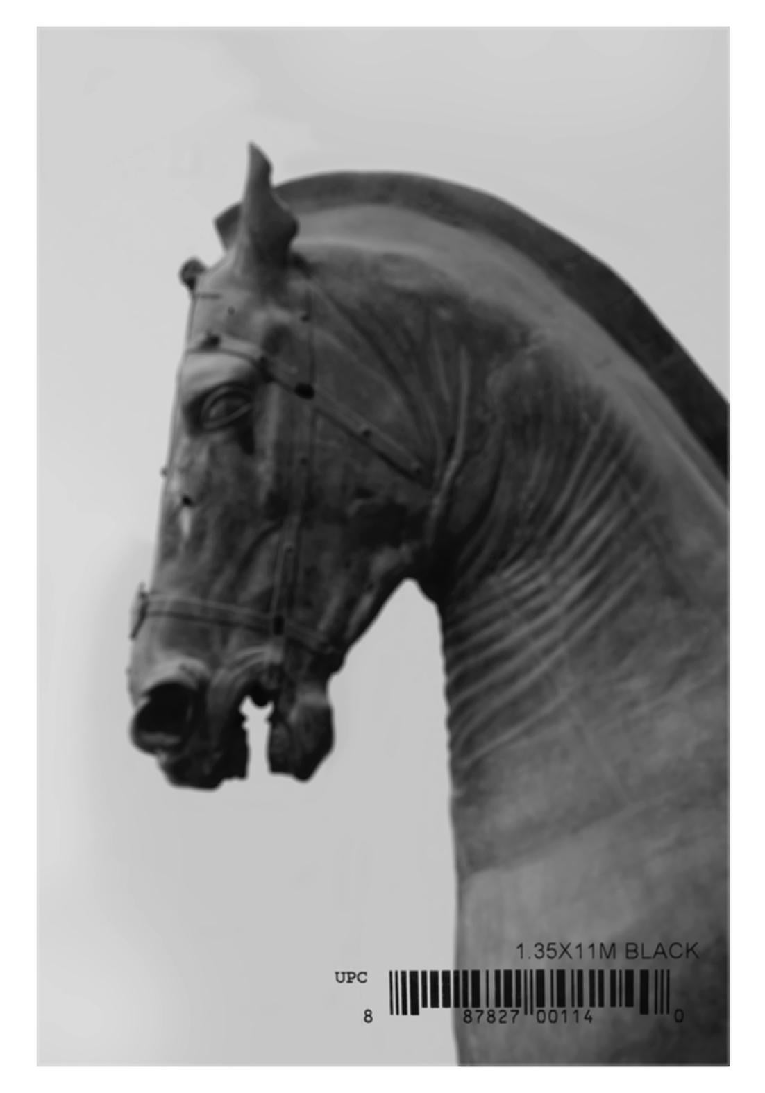 Figurative Photograph Salvatore Arnone - Sans titre, Série Balance. Sculpture de tête de cheval. Photographie numérique à collage de couleur