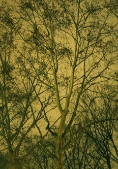 Untitled.20, Paranoia series. Landscape. Limited Edition Color Photograph 