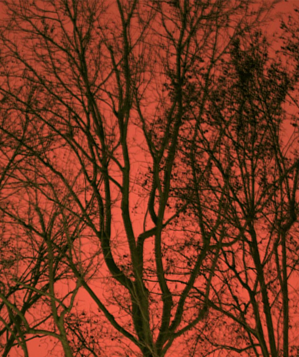 Untitled 21, Paranoia Series, Landscape. Limited Edition Color Photograph For Sale 1