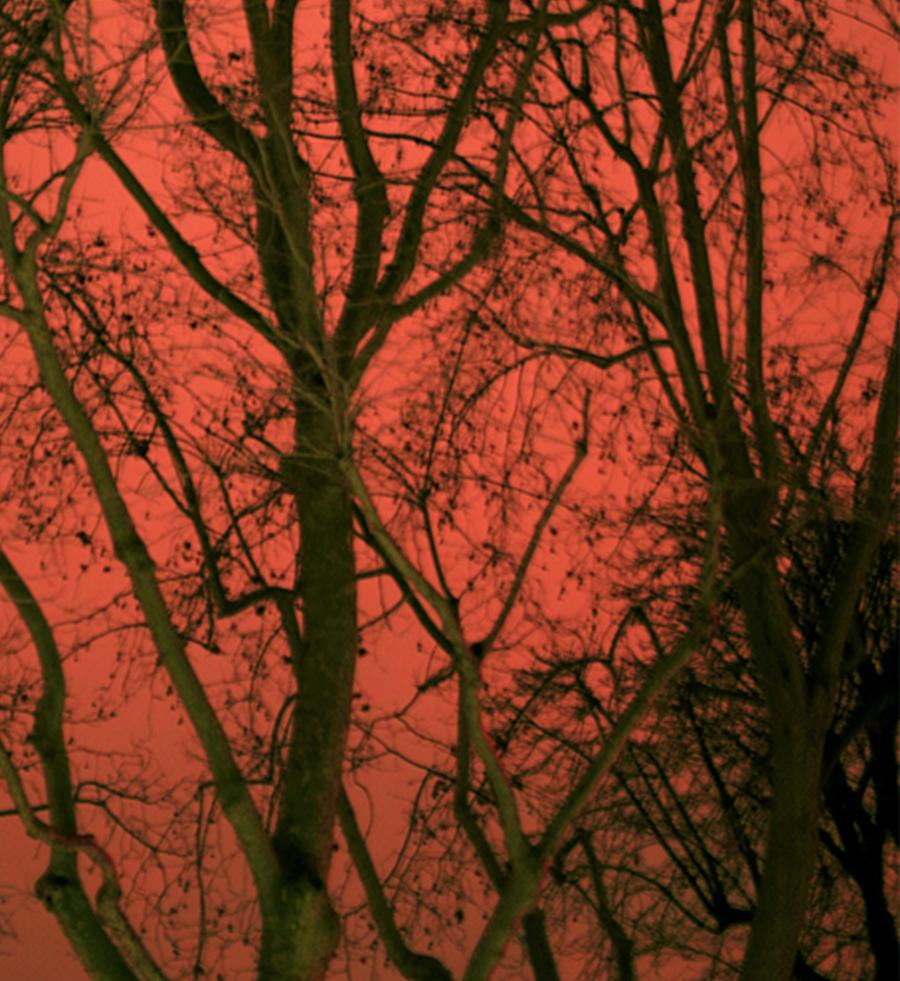 Untitled 21, Paranoia Series, Landscape. Limited Edition Color Photograph For Sale 2