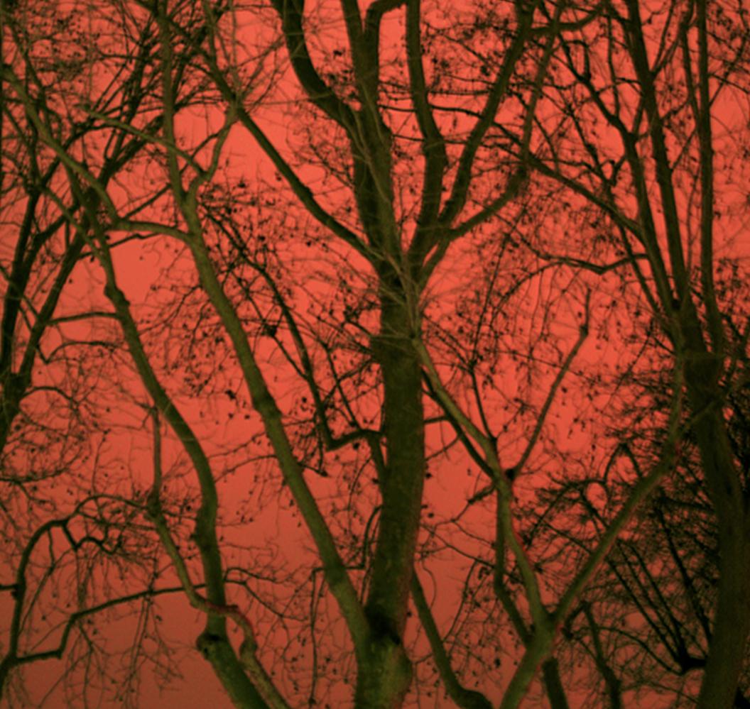 Untitled 21, Paranoia Series, Landscape. Limited Edition Color Photograph For Sale 3