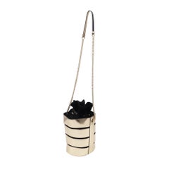 Salvatore Ferragamo Caged Bucket Bag in Gold Leather