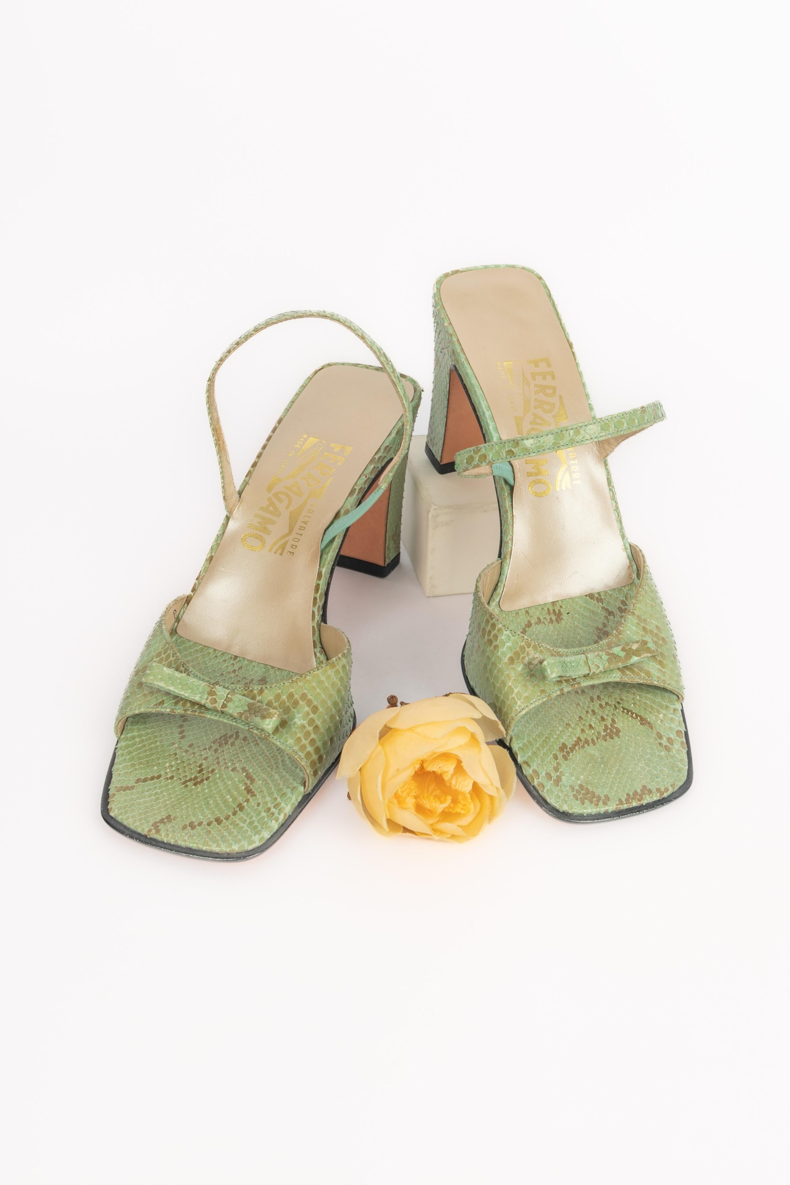 Zapatos Salvatore Ferragamo