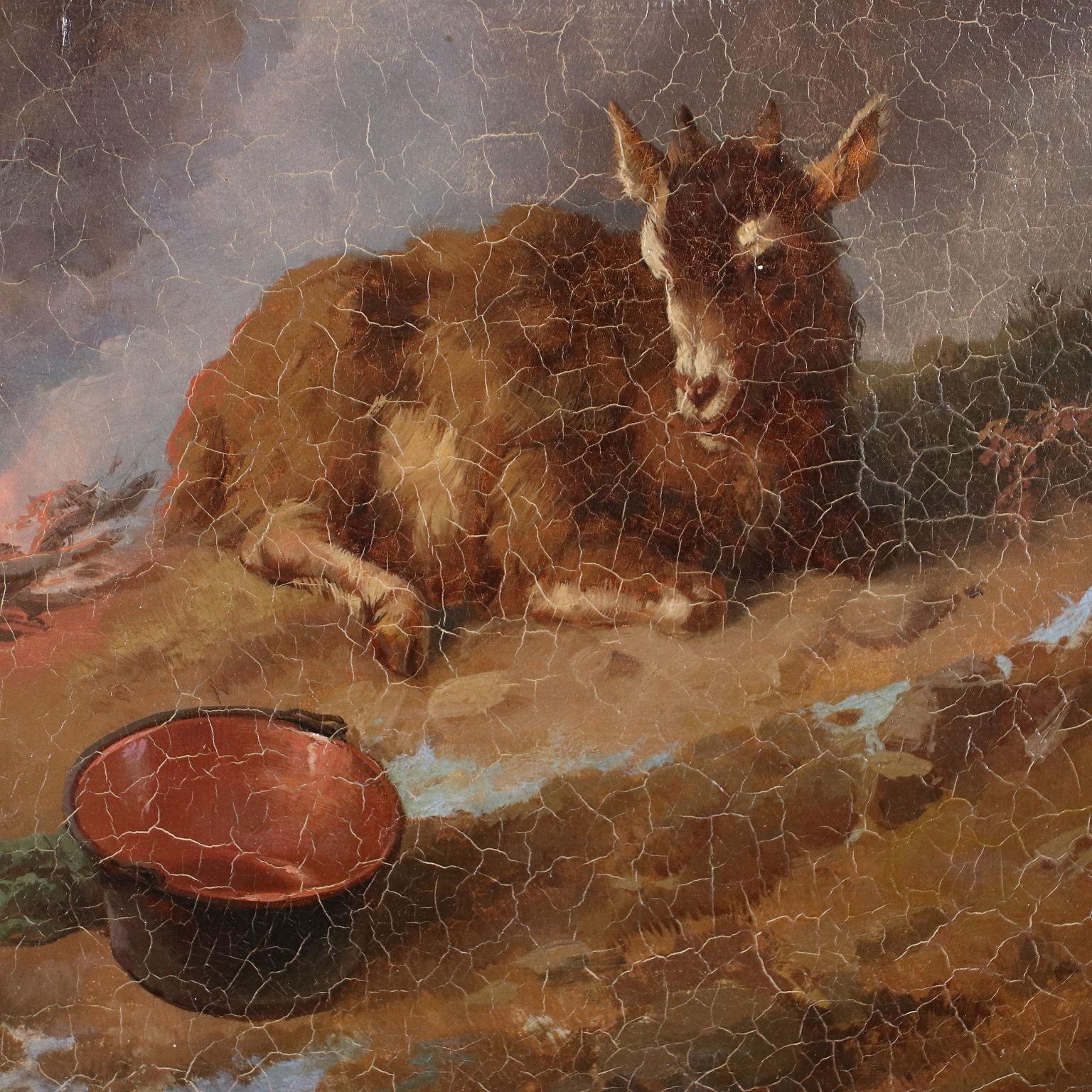 Herd at rest, oil on canvas, 19th century 2