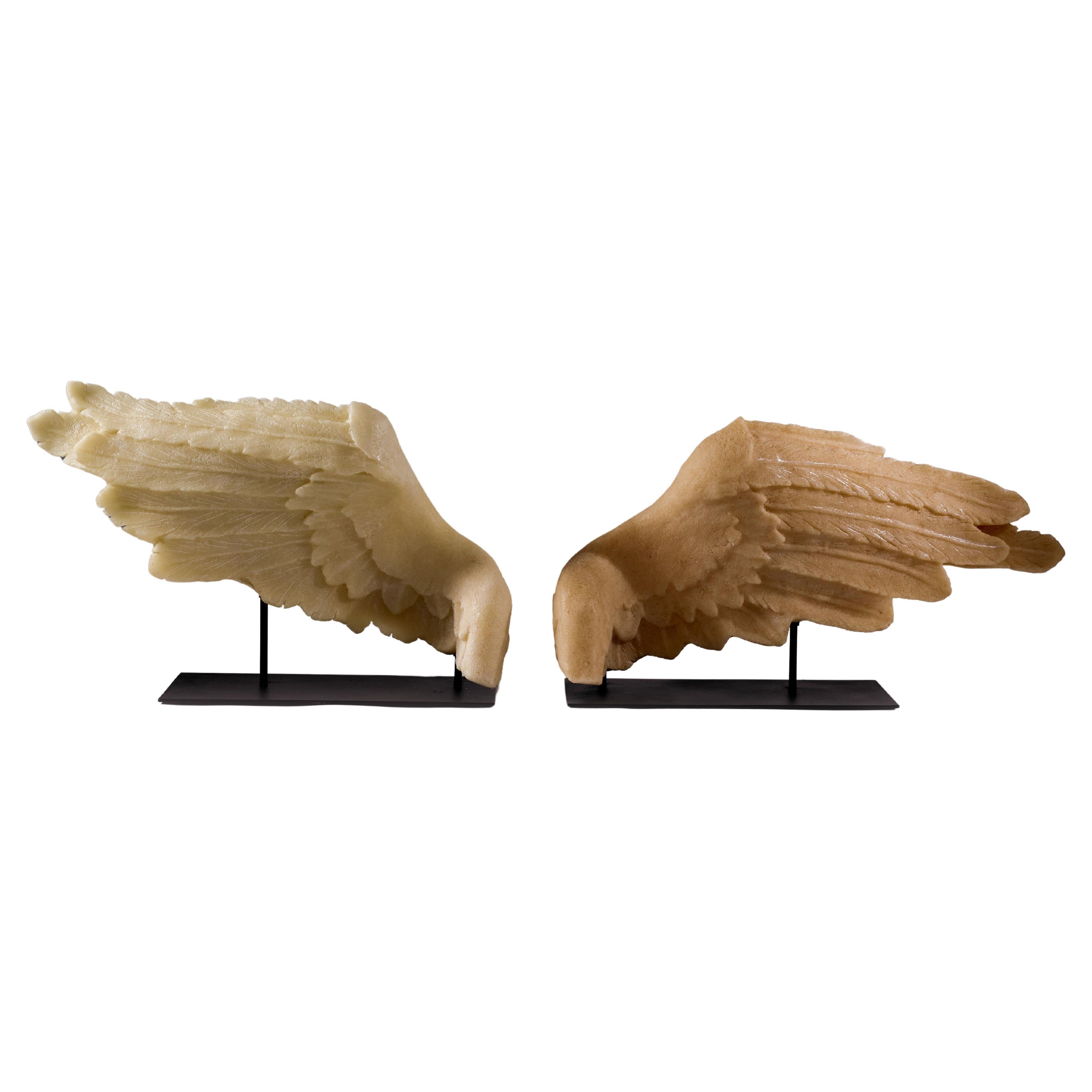 In offerta ci sono due sculture di ali create dall'artista italiano Salvatore Savoca. Ognuno di essi è montato su un supporto in ferro nero. 

Realizzati in resina epossidica e polvere di marmo, misurano ciascuno 30
