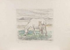 Mare and Foal - Etching by Salvatore Sechi De Gonare - 1977