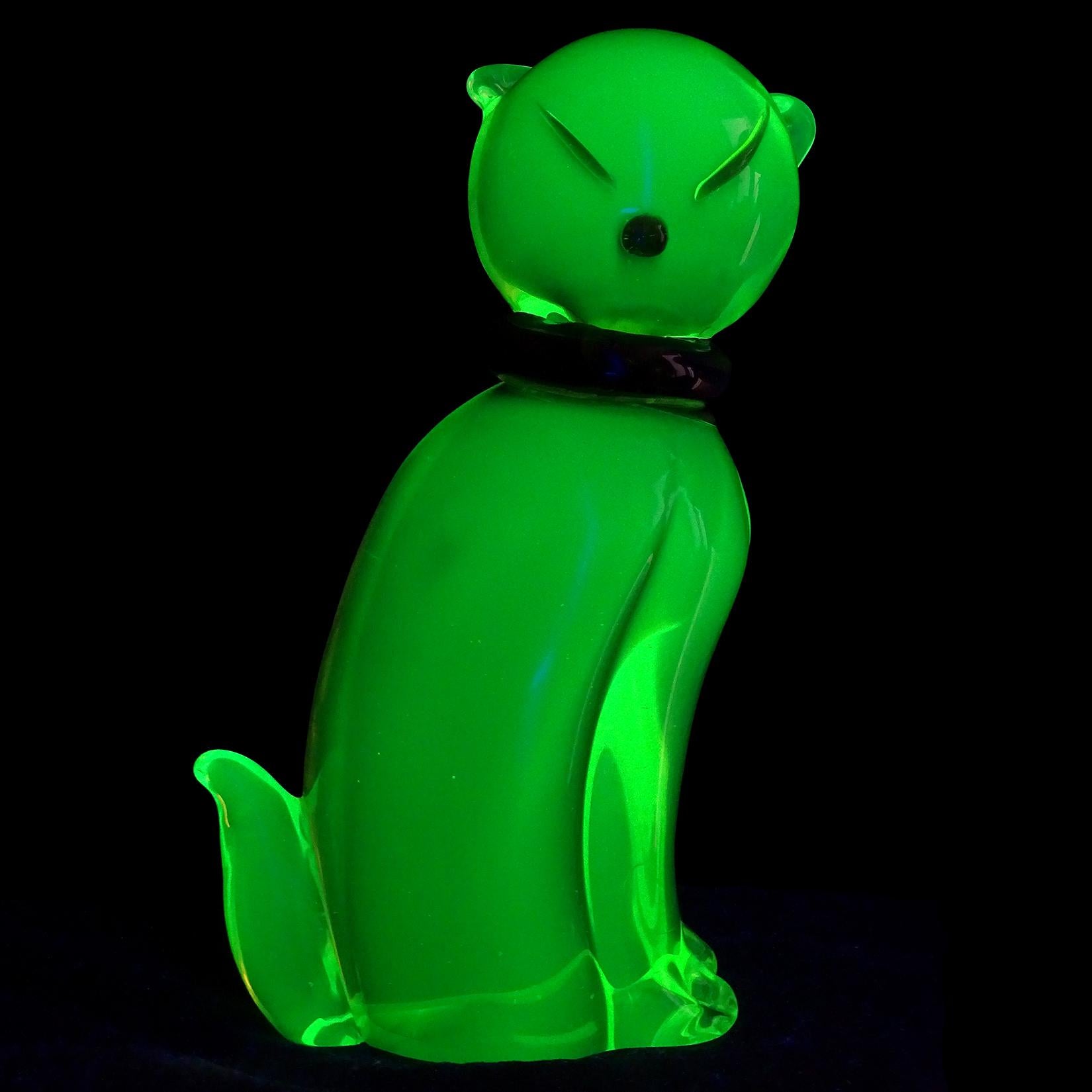 uranium cat