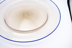 Salviati & Co. Italy 1920 Murano Soffiato Blown Charger In Amber And Blue Glass