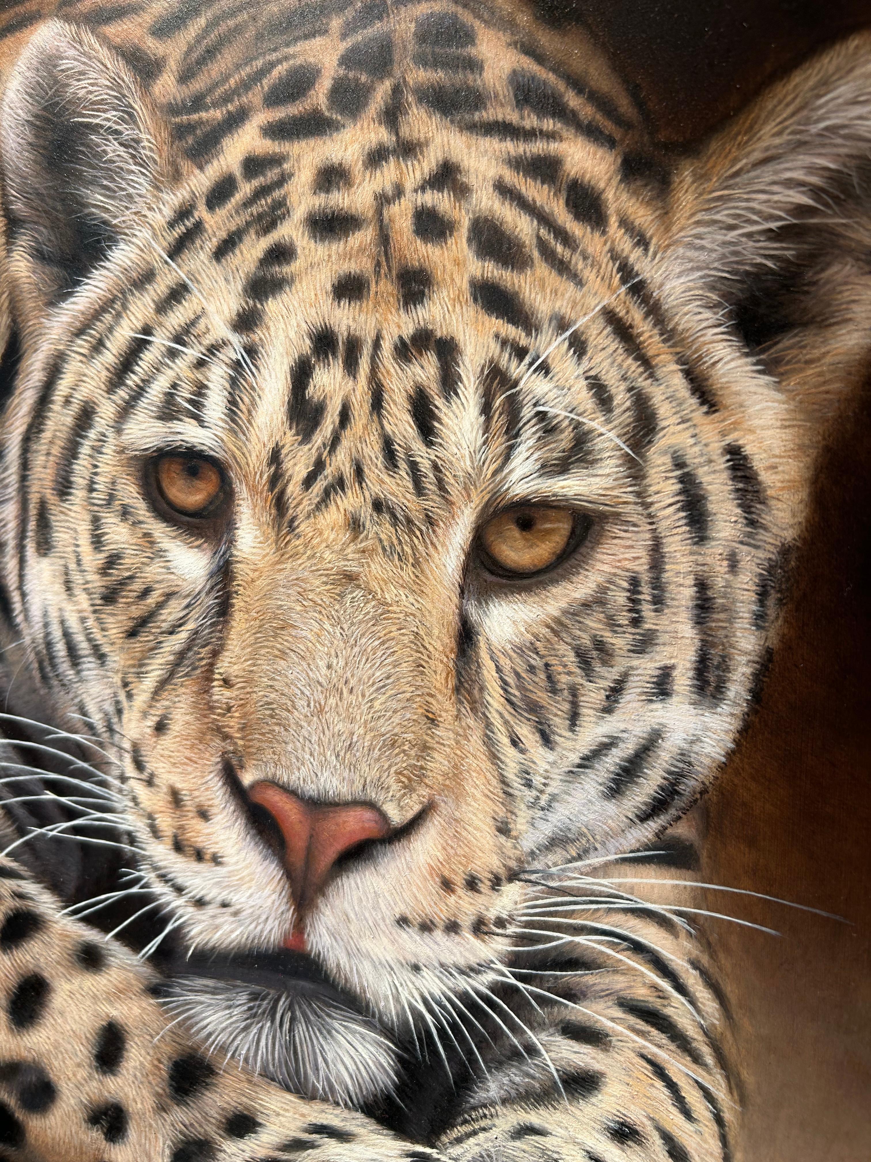 Sam Dolman’s unique and mesmerising portraits of wildlife and domestic animals have earned him great acclaim. Painted on aluminium, each work is created using layers of thin oil paint. The process is hugely time consuming, but with each layer of