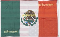 Sam Durant Die andere Seite/El Otro Lado Protest Kunst Mexikanische amerikanische Flaggen 70/100