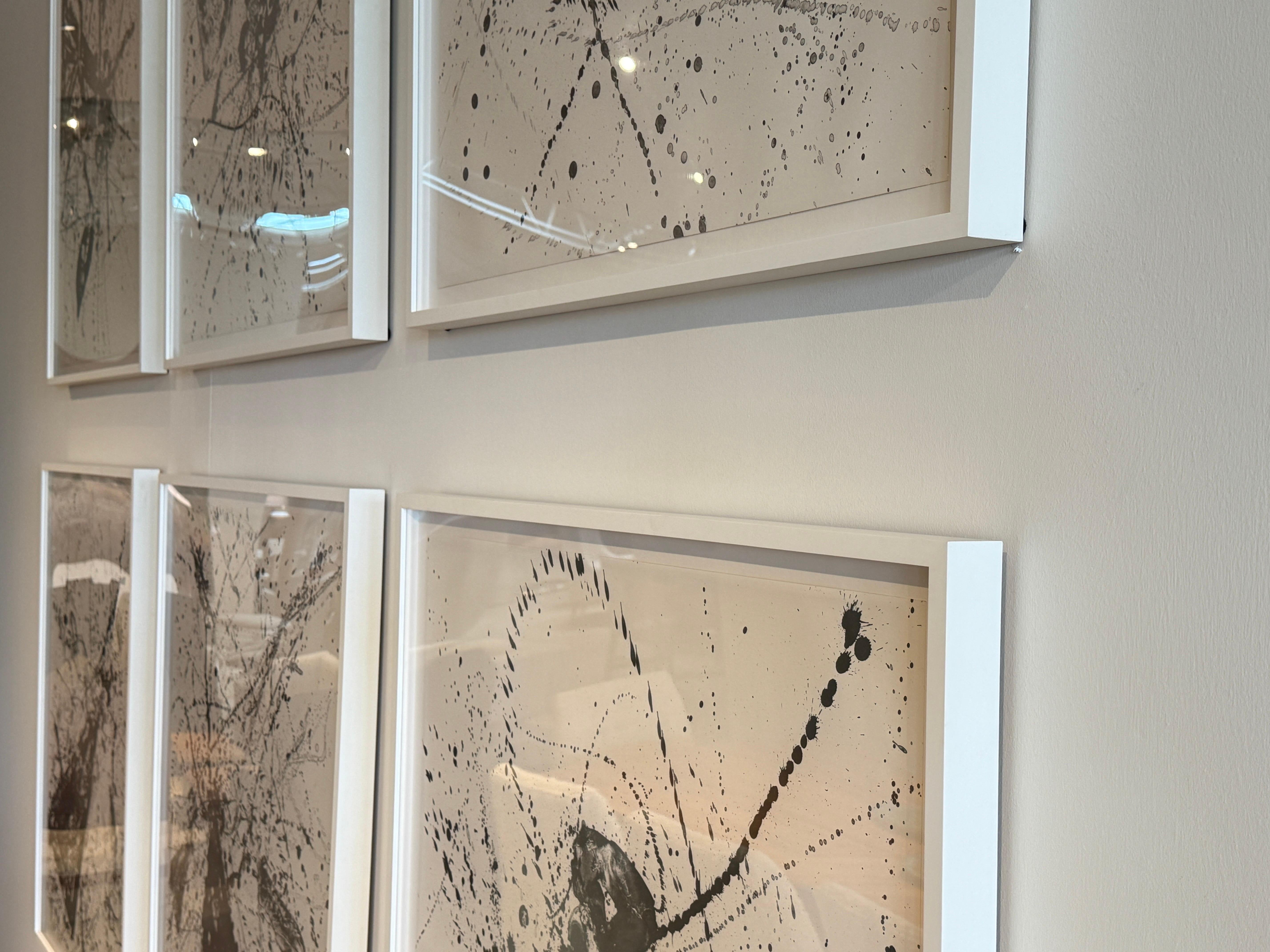 Sam Francis 