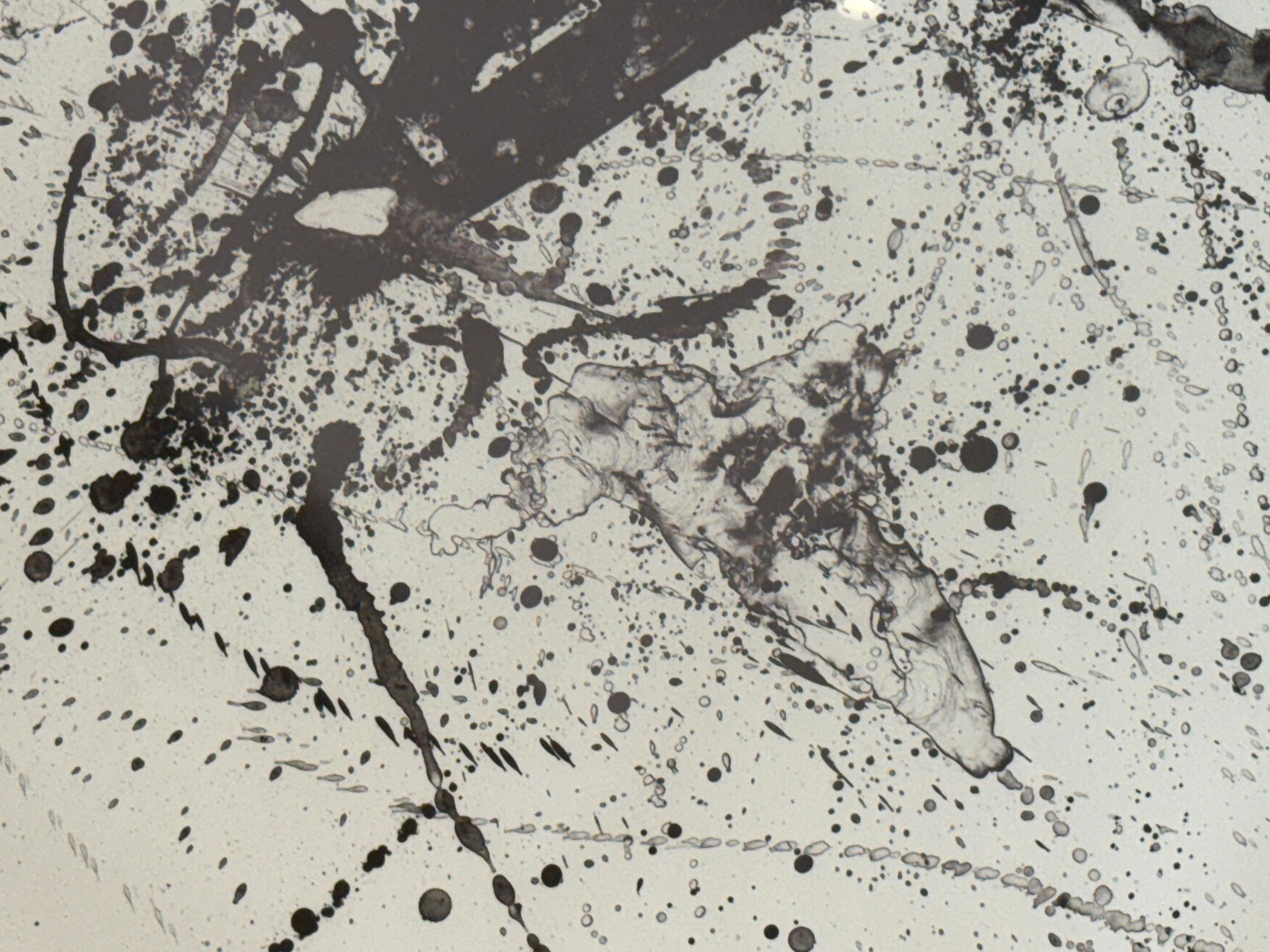 Sam Francis 