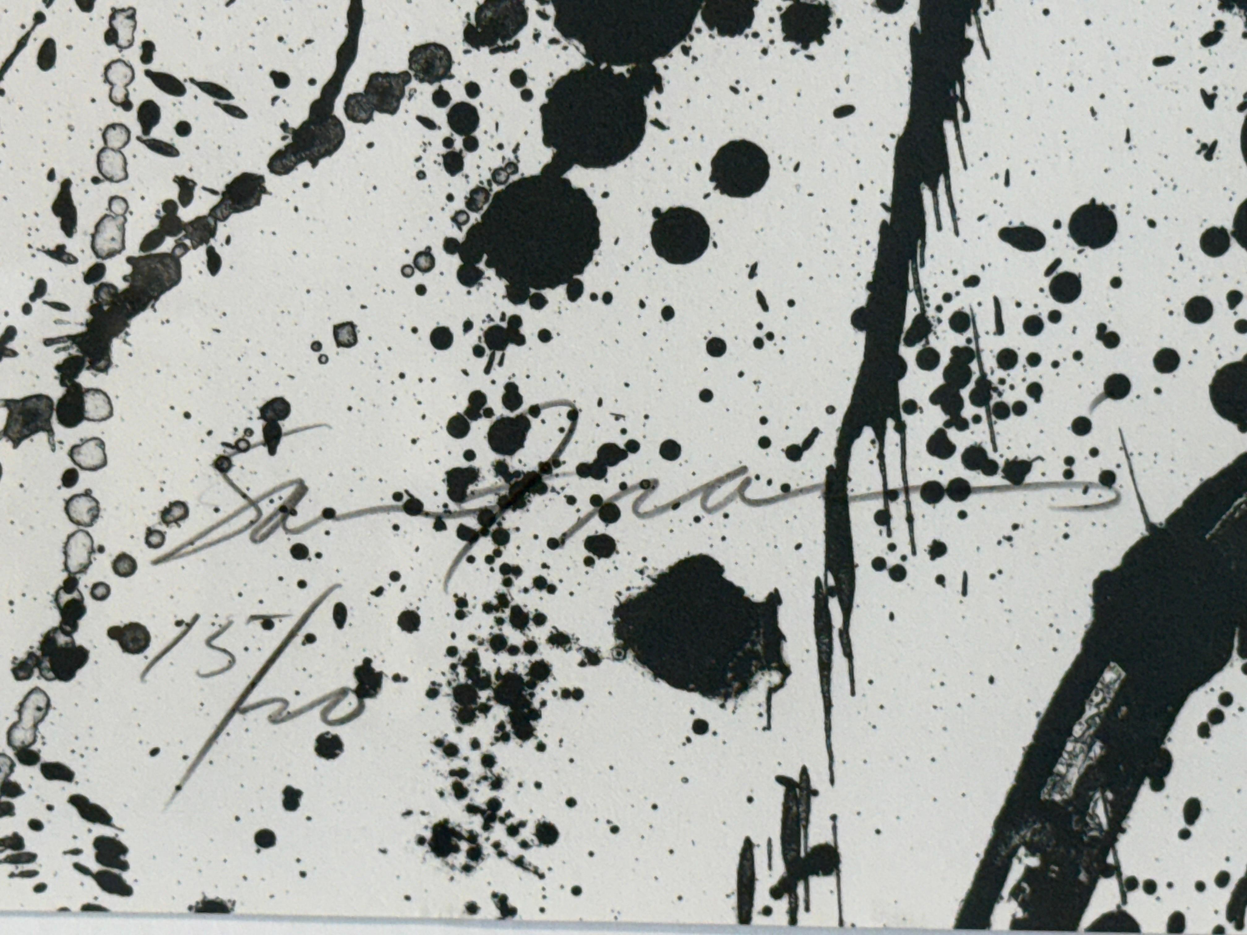 Sam Francis 