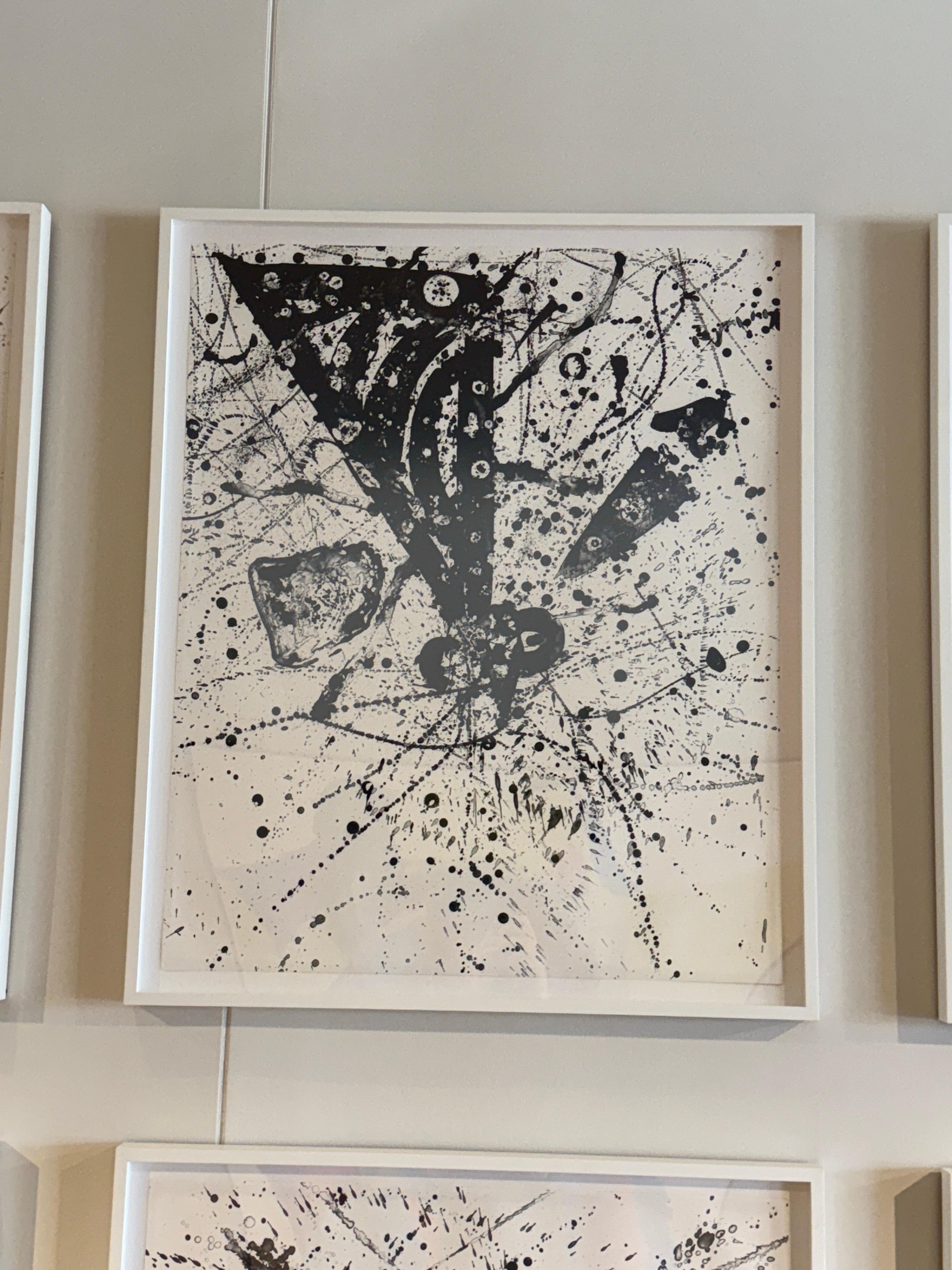 Sam Francis 