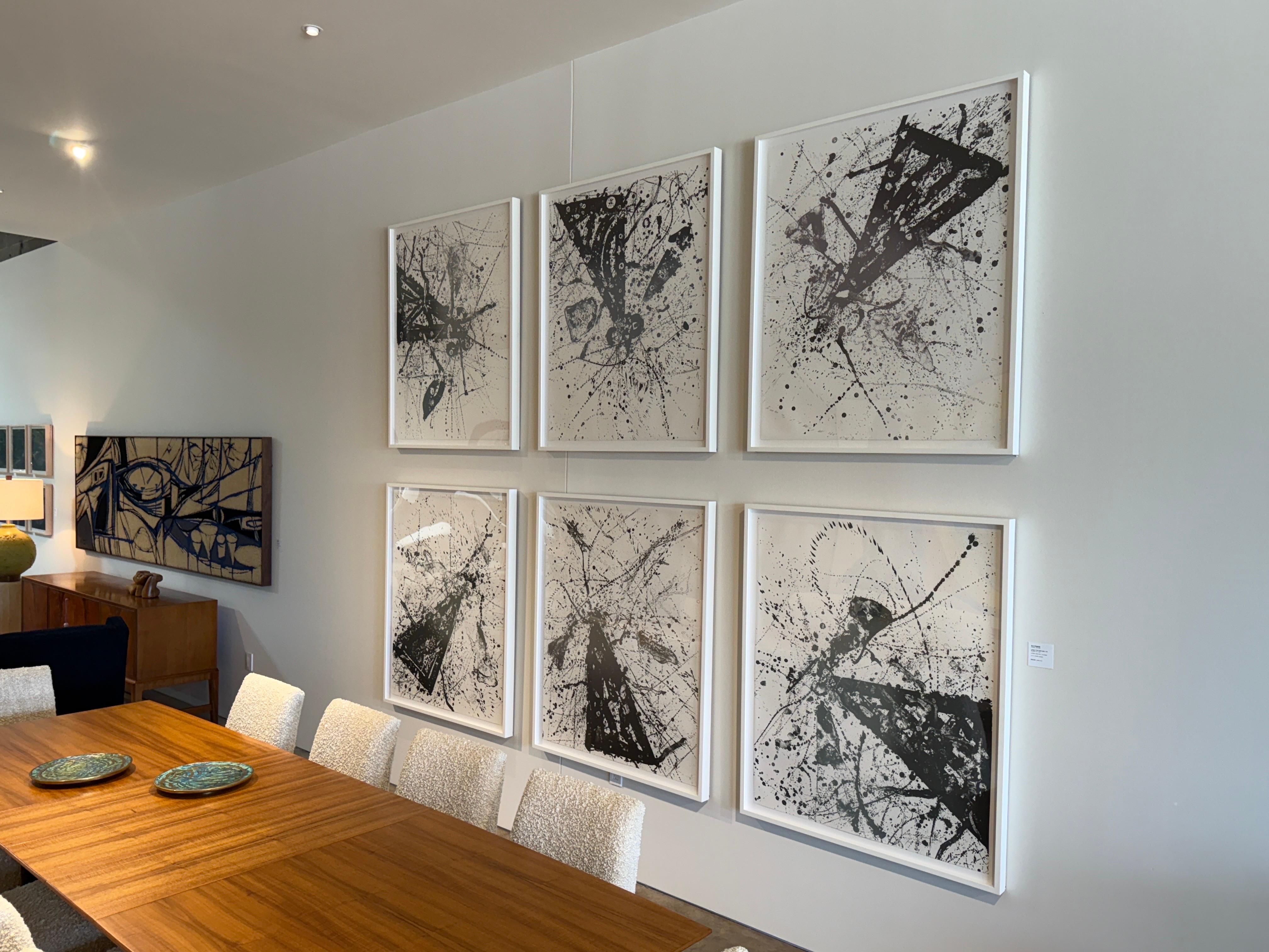 Sam Francis 