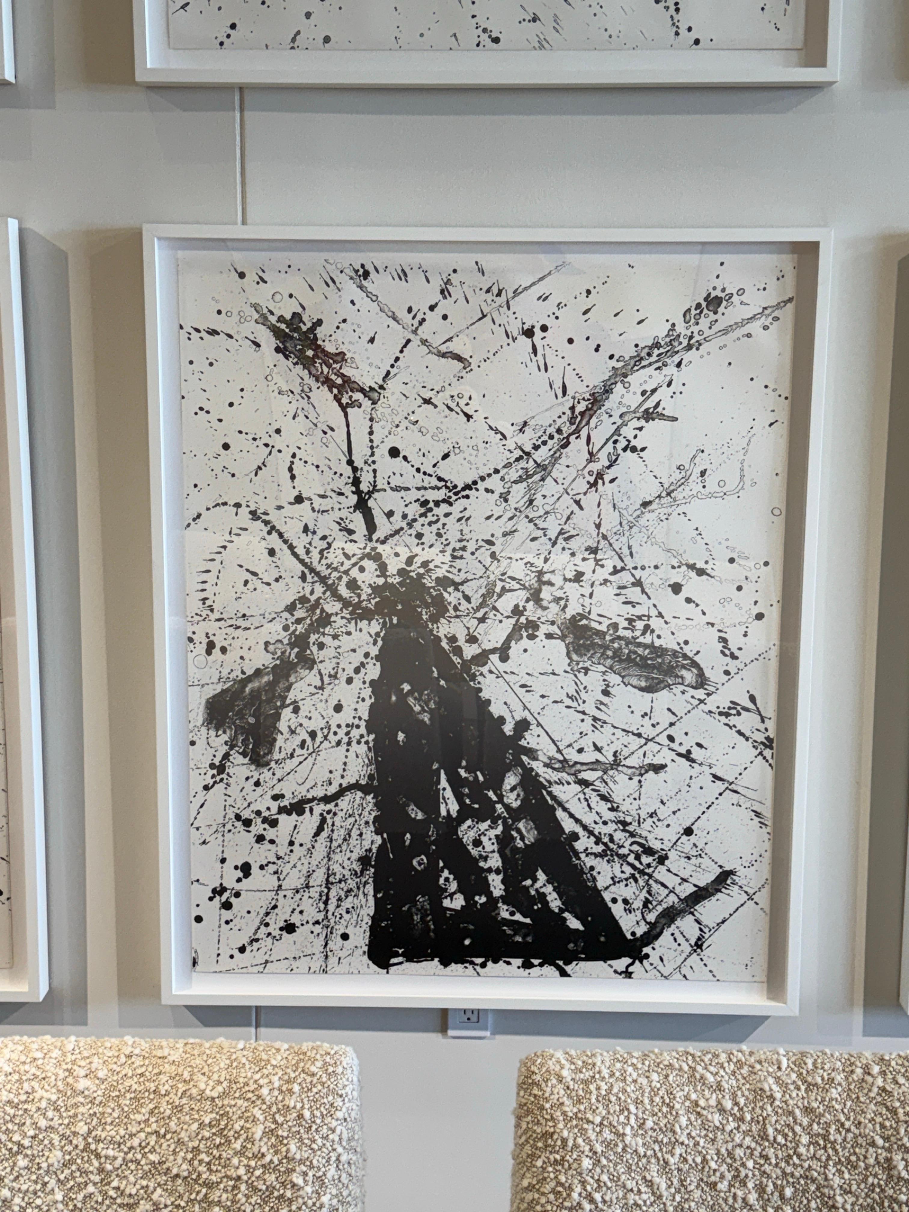 Sam Francis 